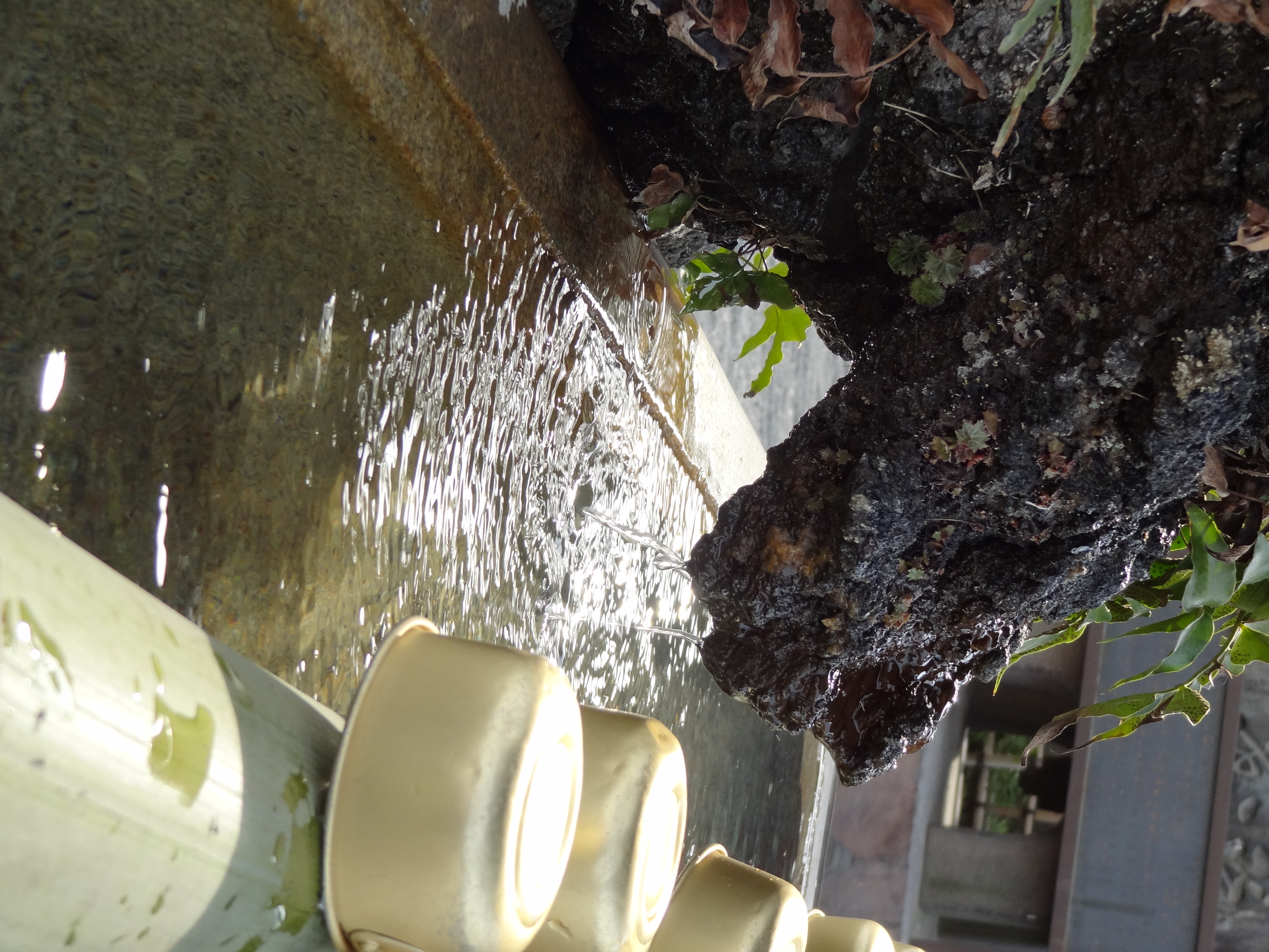 <b>DSC-HX9V / 約4.3MB / 3,456×4,608 / 1/200秒 / F4.5 / 0.0EV / ISO100 / WB:オート / 12.2mm</b>