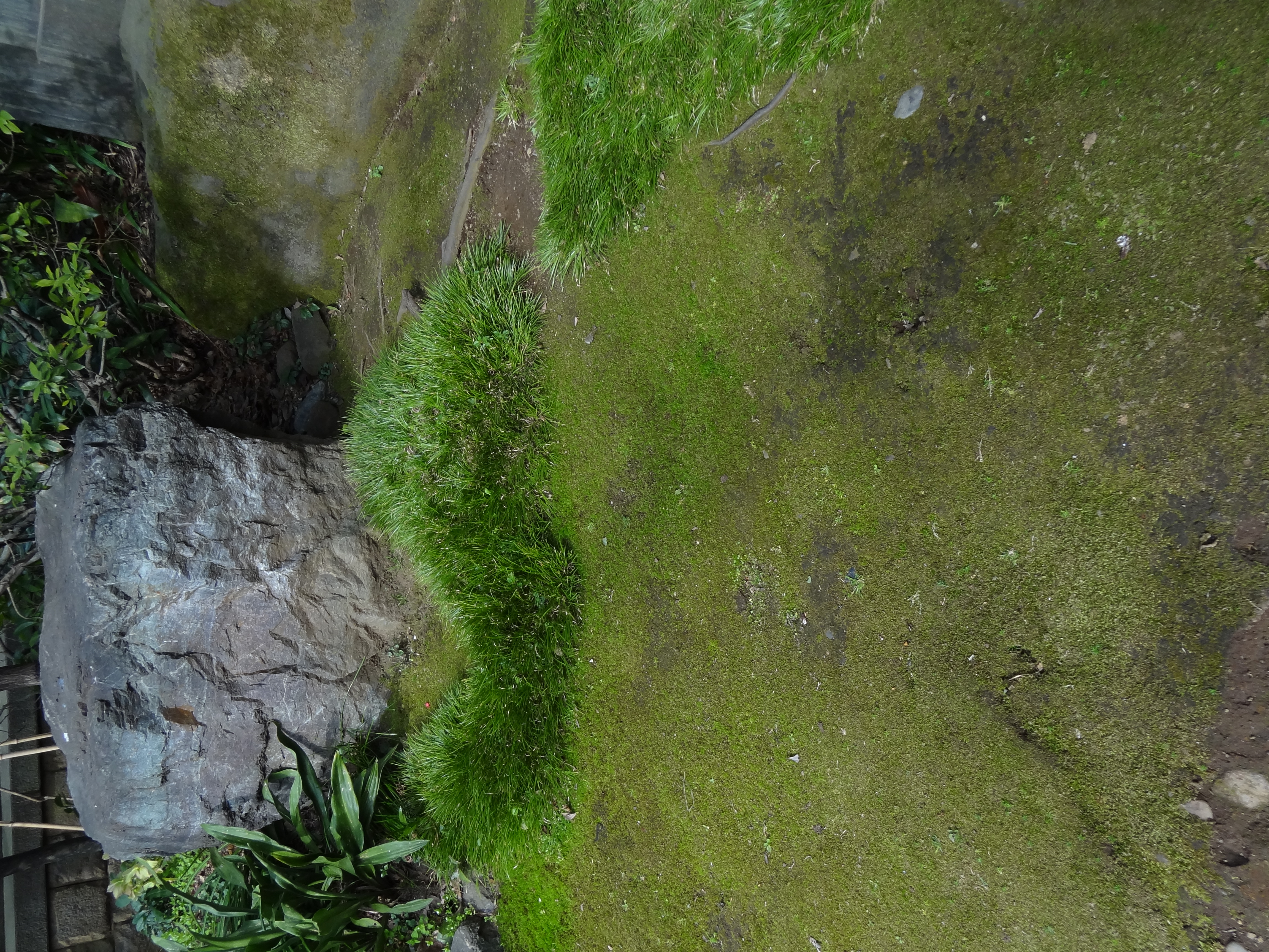 <b>DSC-HX9V / 約6.1MB / 3,456×4,608 / 1/250秒 / F3.5 / -1.0EV / ISO100 / WB:オート / 4.8mm</b>