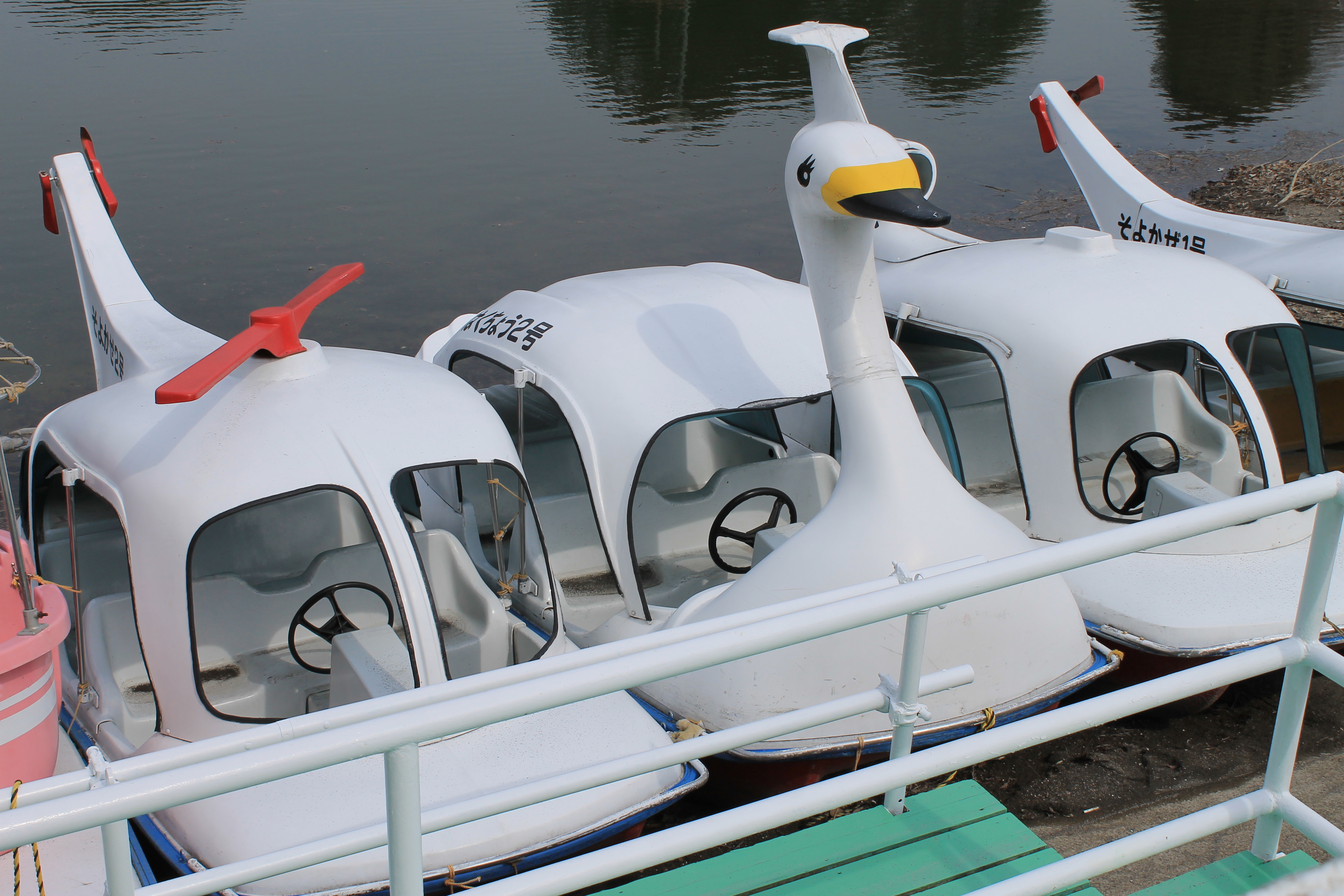 <b>明かりや状況:日なた / EOS Kiss X50 / EF-S 18-55mm F3.5-5.6 IS II / 約3.9MB / 4,272×2,848 / 1/250秒 / F13 / 0.0EV / ISO100 / WB:オート / 32mm</b>