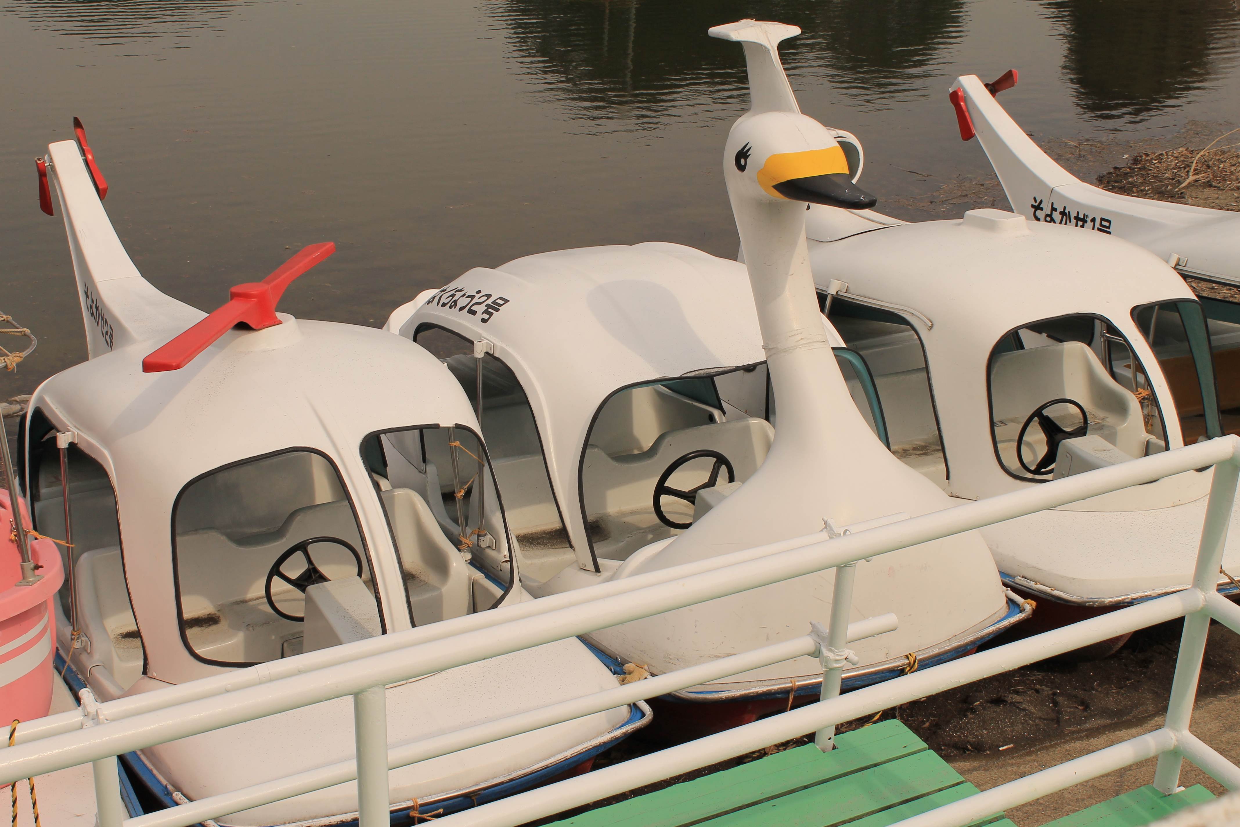 <b>明かりや状況:日かげ / EOS Kiss X50 / EF-S 18-55mm F3.5-5.6 IS II / 約3.8MB / 4,272×2,848 / 1/250秒 / F13 / 0.0EV / ISO100 / WB:オート / 32mm</b>