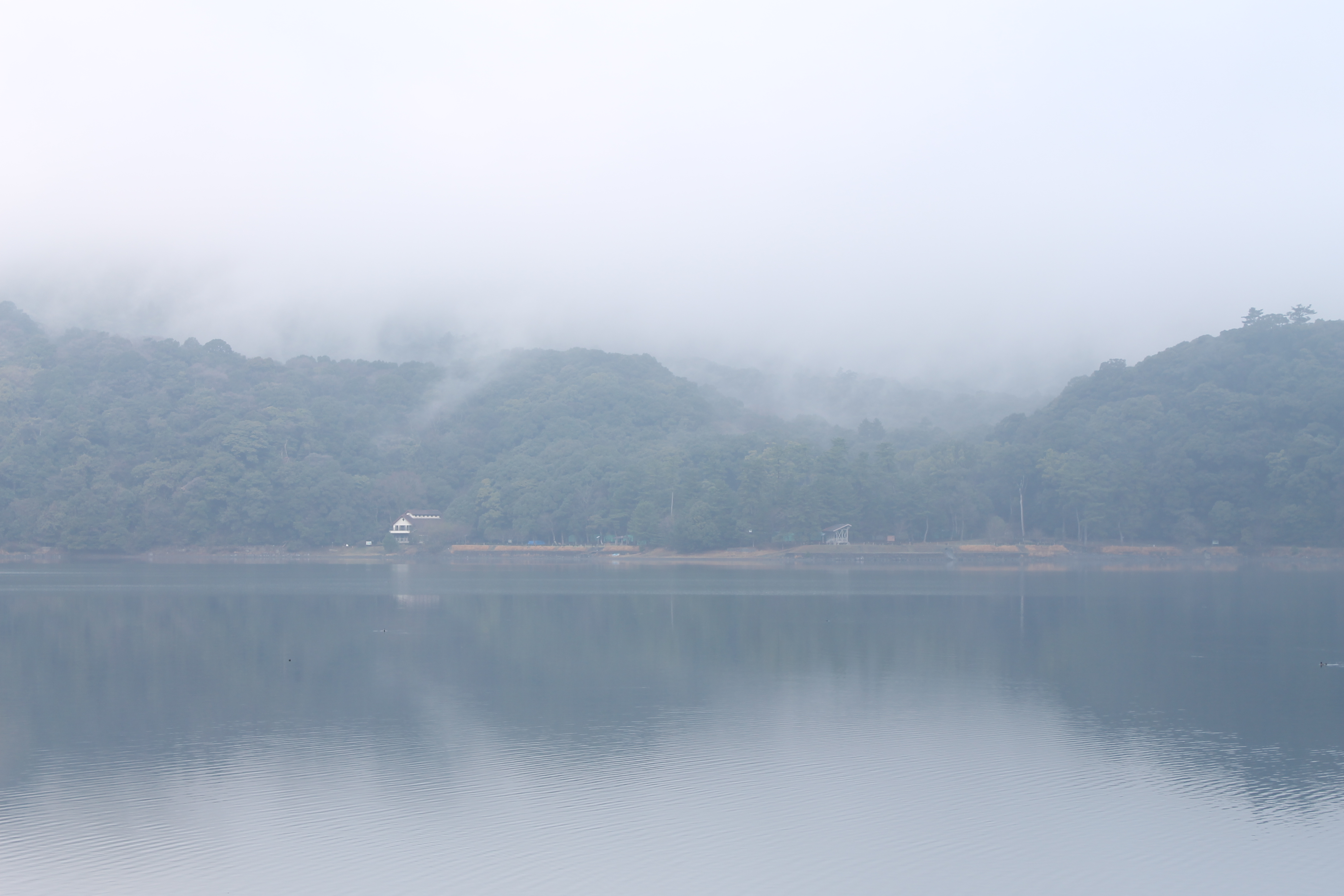 <b>高輝度側・階調優先:しない / EOS Kiss X50 / EF-S 18-55mm F3.5-5.6 IS II / 約2.2MB / 4,272×2,848 / 1/60秒 / F8 / +1.0EV / ISO125 / WB:太陽光 / 45mm</b>