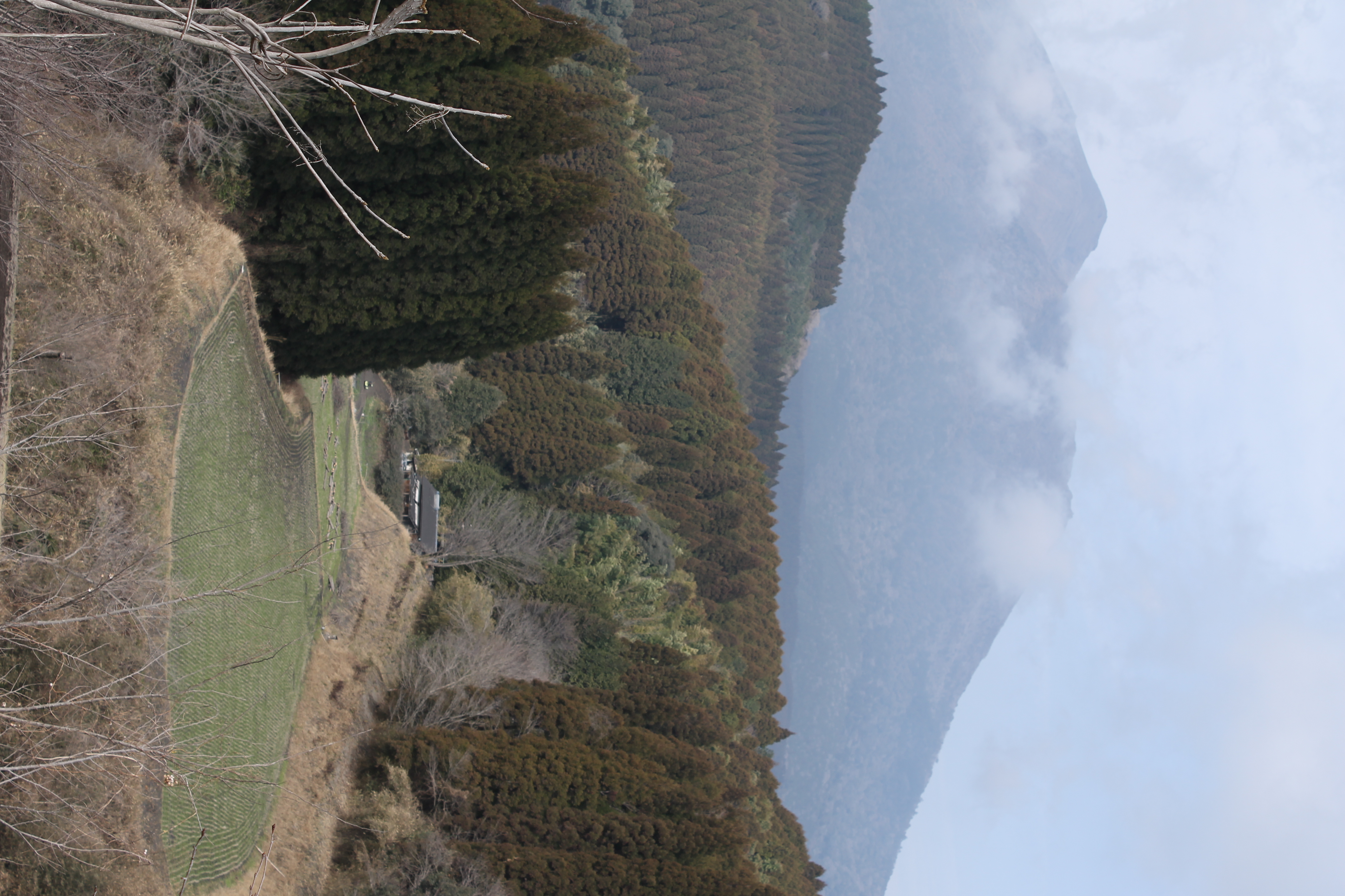 <b>EOS Kiss X50 / EF-S 18-55mm F3.5-5.6 IS II / 約3.8MB / 2,848×4,272 / 1/250秒 / F8 / -0.7EV / ISO100 / WB:太陽光 / 43mm</b>