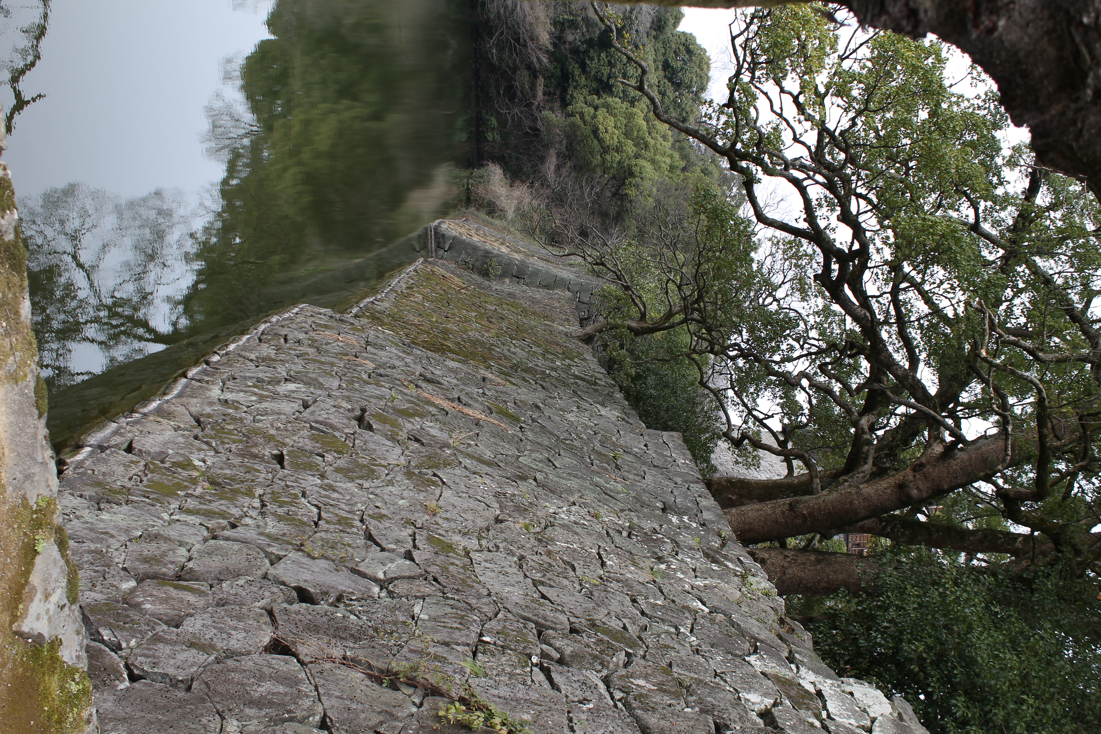 <b>EOS Kiss X50 / EF-S 18-55mm F3.5-5.6 IS II / 約7.6MB / 2,848×4,272 / 1/100秒 / F5.6 / -0.3EV / ISO100 / WB:オート / 21mm</b>