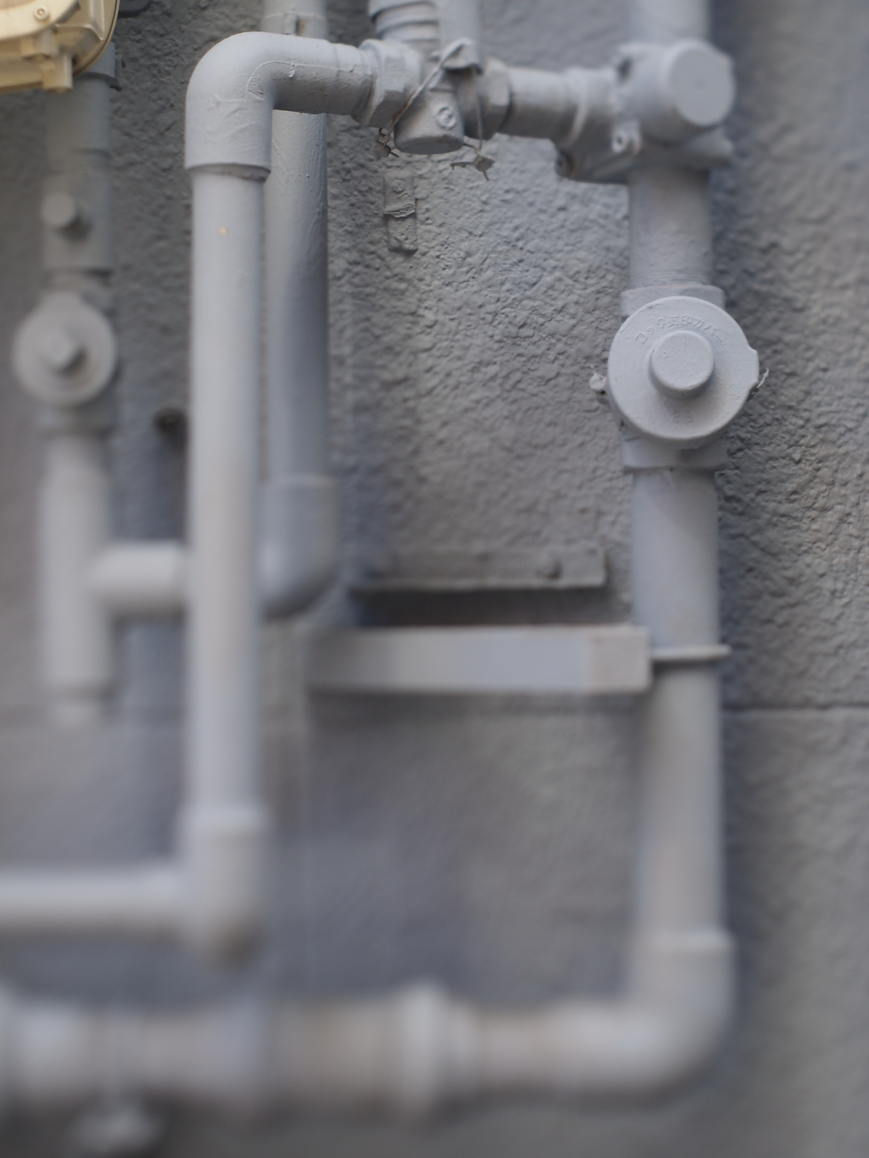 <b>ストレート現像</b>