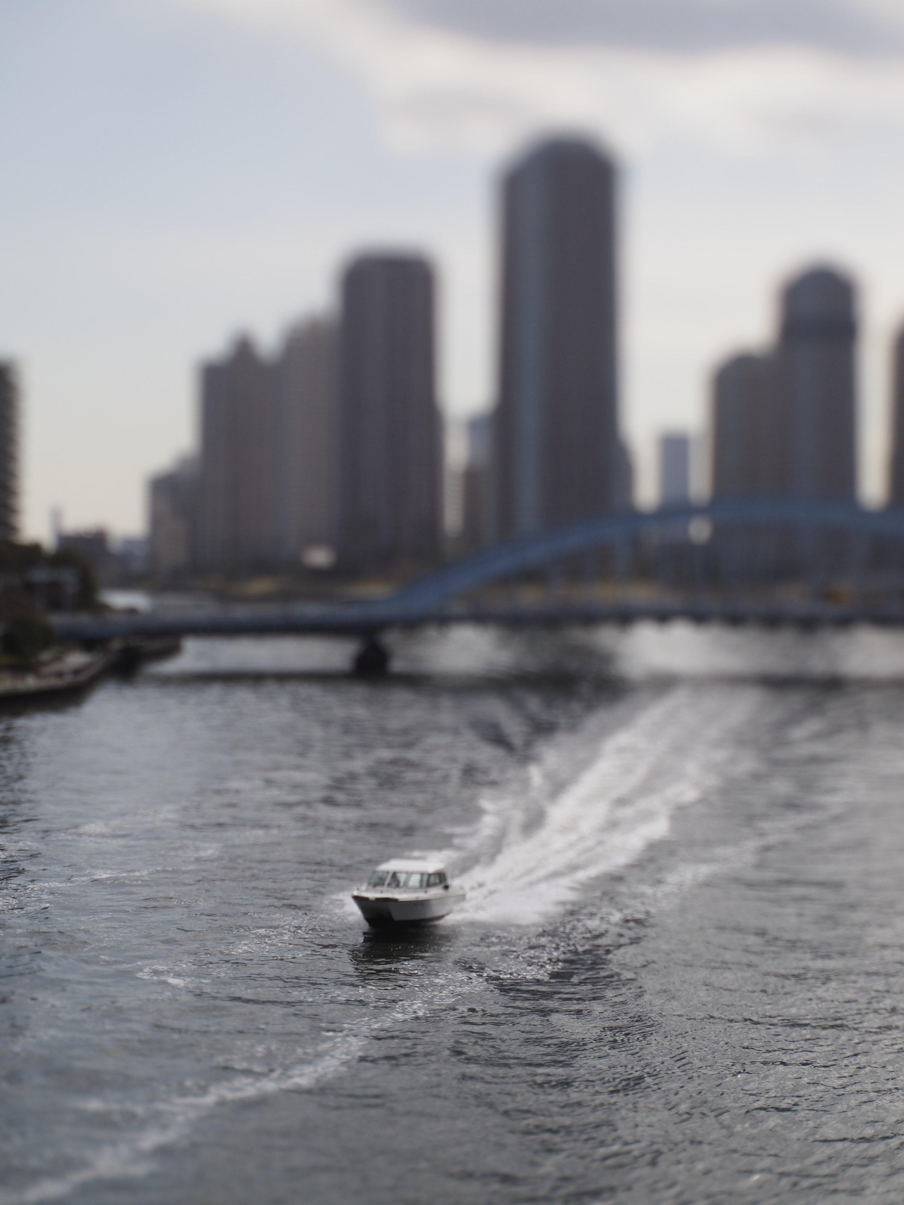 <b>ストレート現像</b>