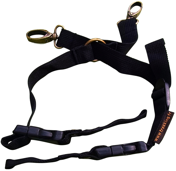 <b>サファリ ツインキット</b>