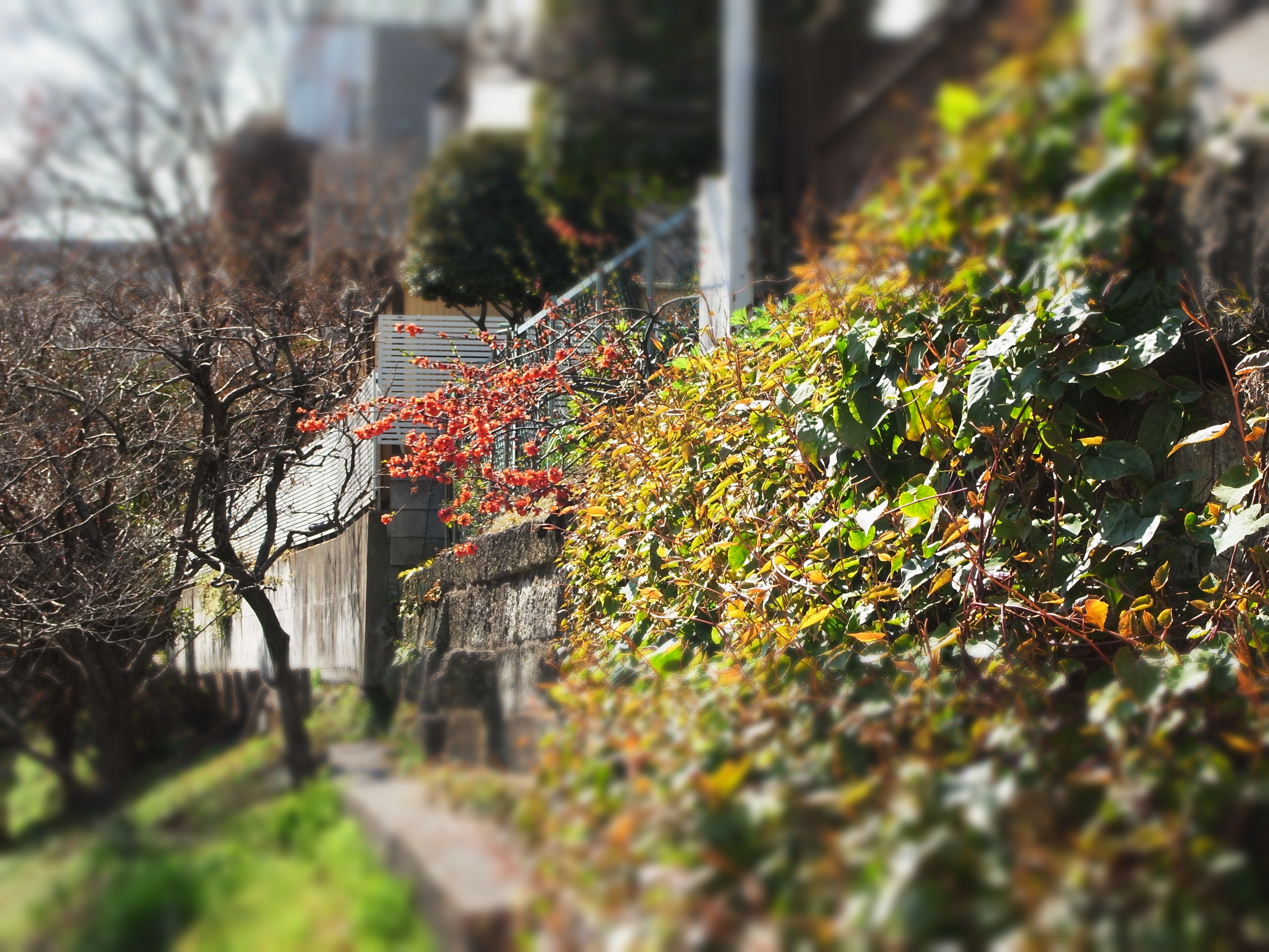 <b>ミニチュアライズ</b>