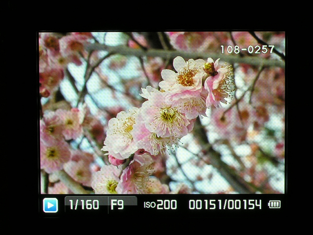 <b>撮影画像をモニターに表示</b>