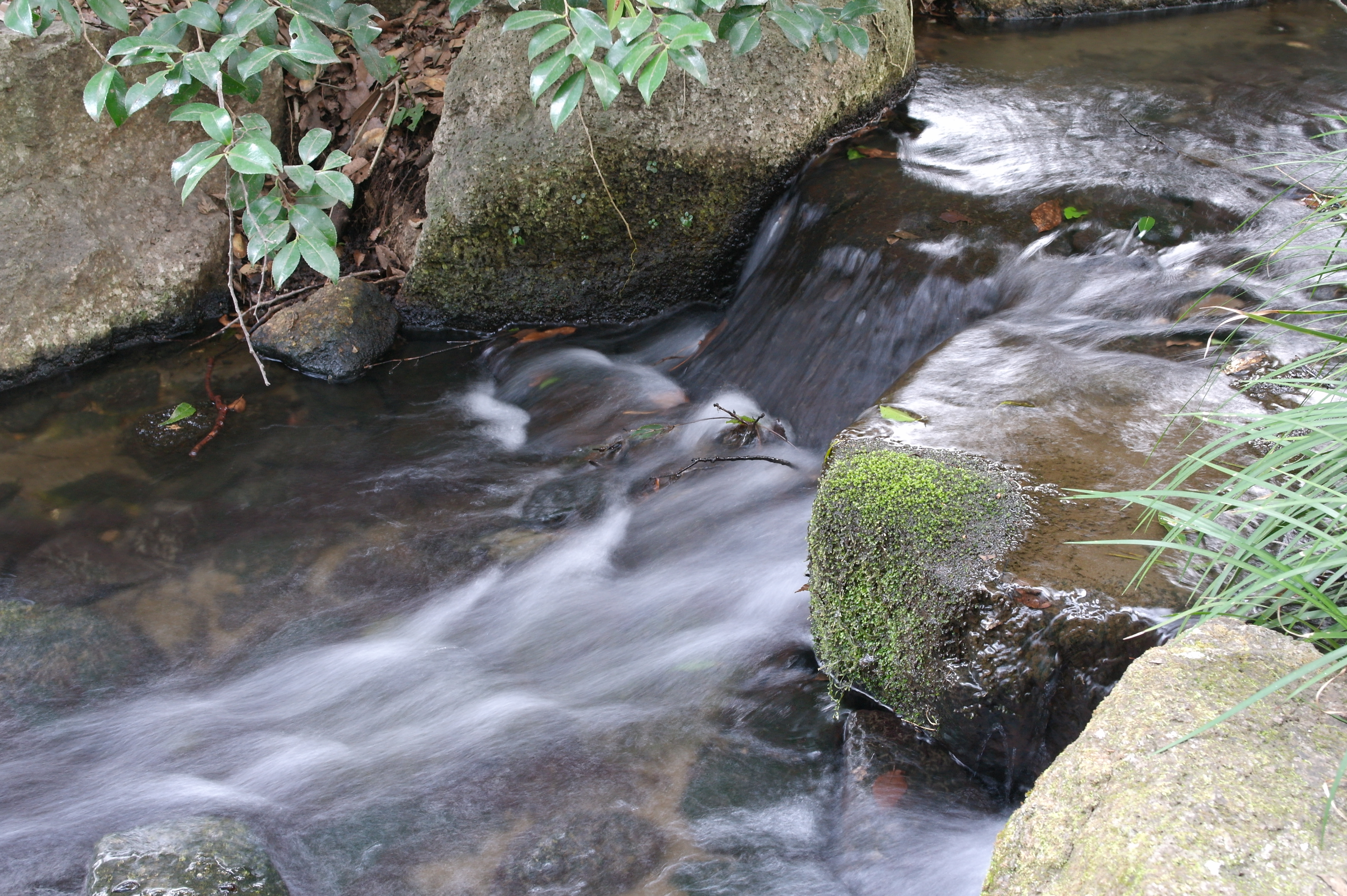 <b>ISO400 / NX100 / SAMSUNG LENS 20-50mm F3.5-5.6 ED / 約6.5MB / 4,592×3,056 / 1/2.5秒 / F9 / 0.0EV / WB:オート / 30mm / Picture Wizard:Standard / NR:ON</b>