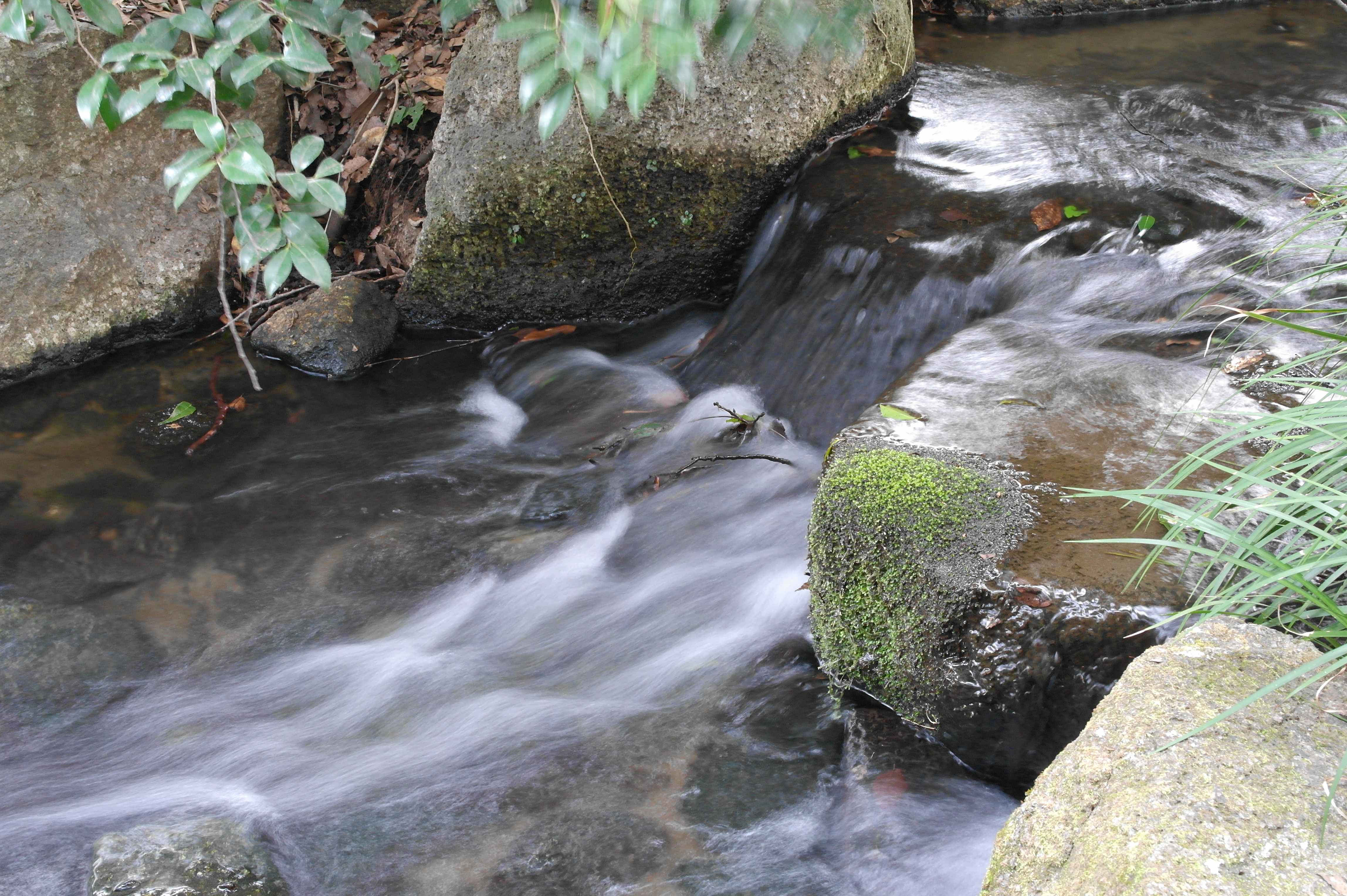 <b>ISO800 / NX100 / SAMSUNG LENS 20-50mm F3.5-5.6 ED / 約6.7MB / 4,592×3,056 / 1/2.5秒 / F13 / 0.0EV / WB:オート / 30mm / Picture Wizard:Standard / NR:ON</b>