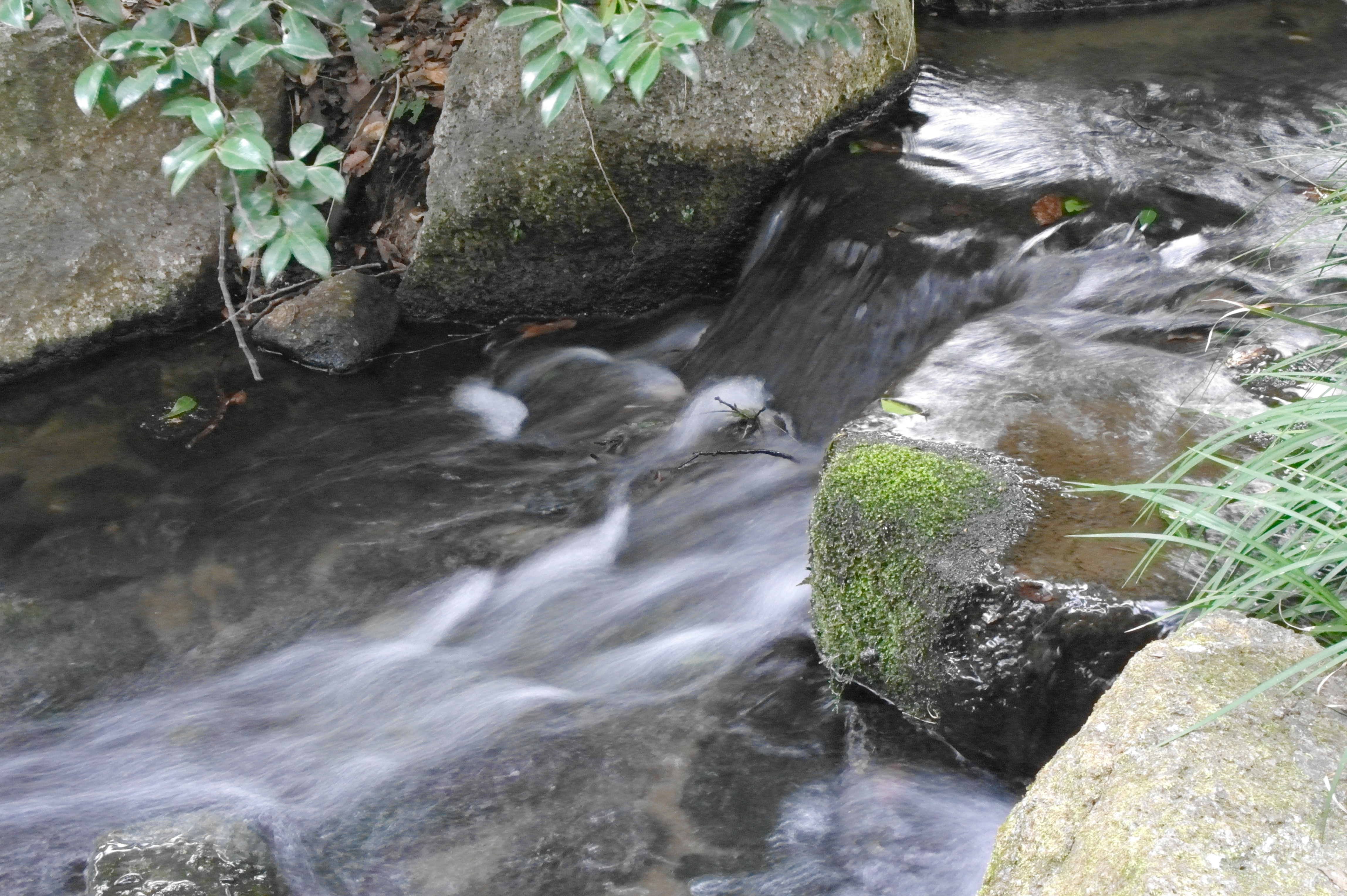 <b>ISO3200 / NX100 / SAMSUNG LENS 20-50mm F3.5-5.6 ED / 約6.2MB / 4,592×3,056 / 1/3秒 / F22 / 0.0EV / WB:オート / 30mm / Picture Wizard:Standard / NR:ON</b>