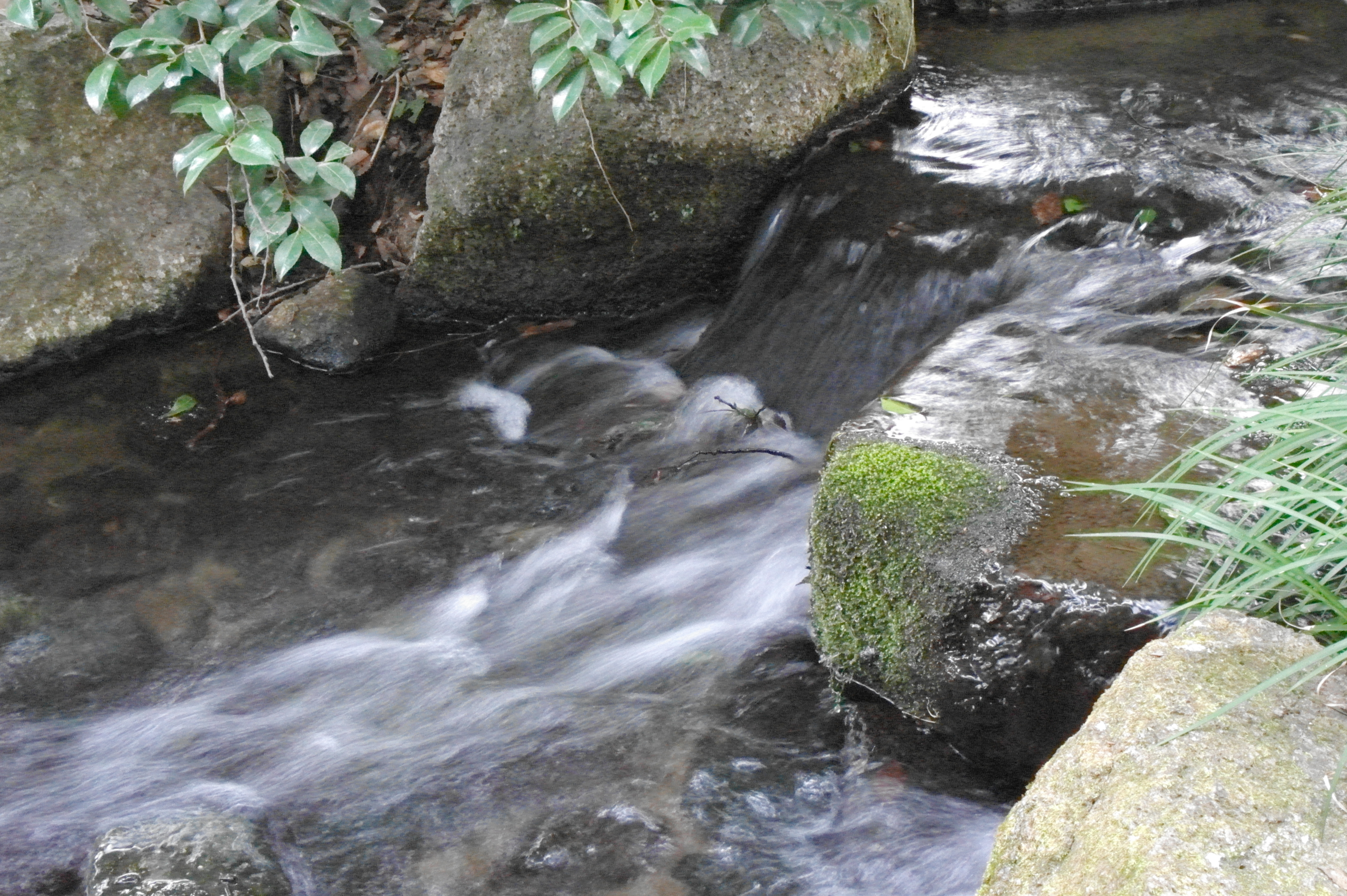 <b>ISO6400（拡張設定） / NX100 / SAMSUNG LENS 20-50mm F3.5-5.6 ED / 約6.4MB / 4,592×3,056 / 1/6秒 / F22 / 0.0EV / WB:オート / 30mm / Picture Wizard:Standard / NR:ON</b>