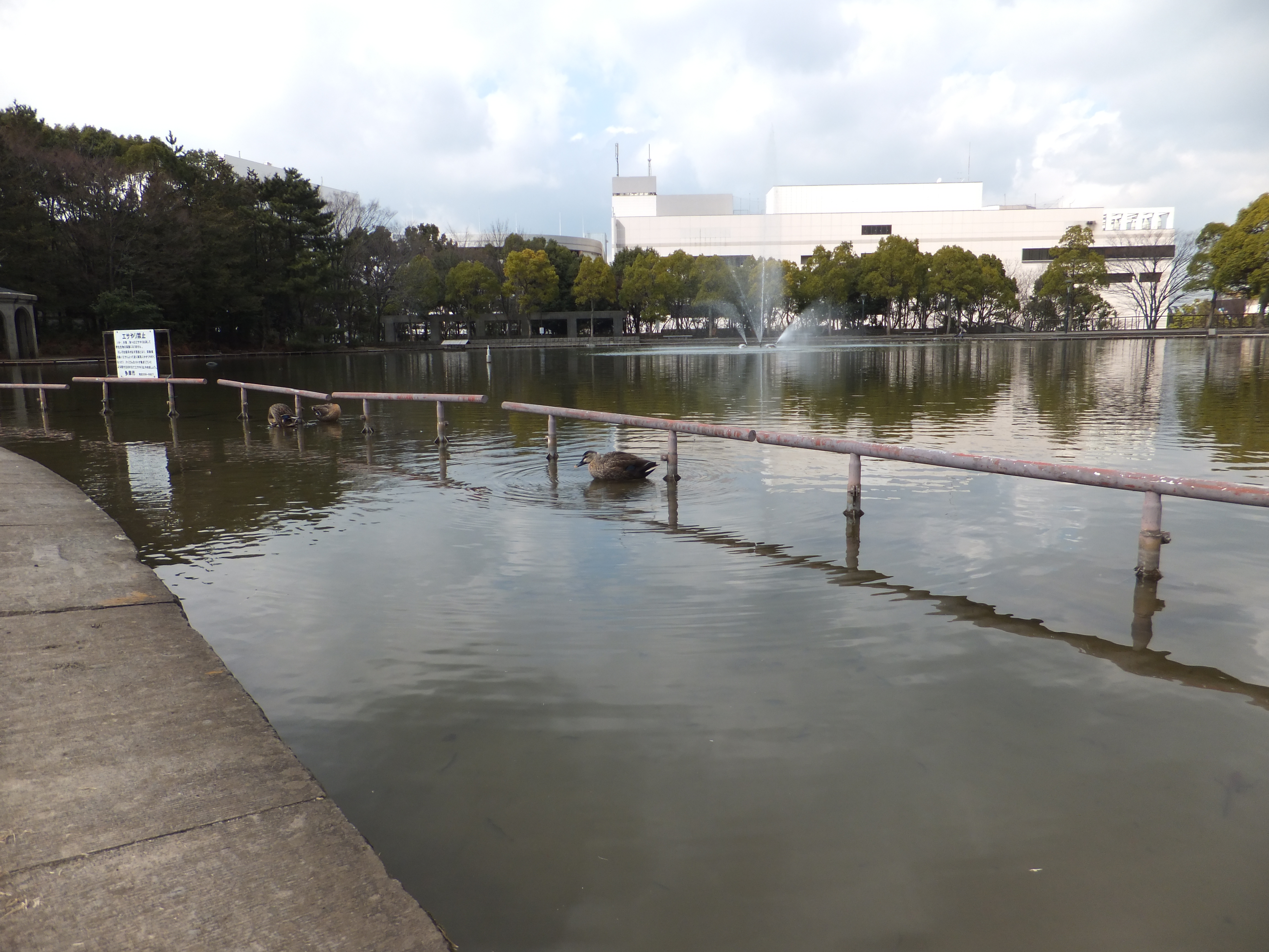 <b>広角端 / FinePix F550EXR / 約5.2MB / 4,608×3,456 / 1/800秒 / F3.5 / +0.3EV / ISO100 / WB:オート / 4.4mm</b>