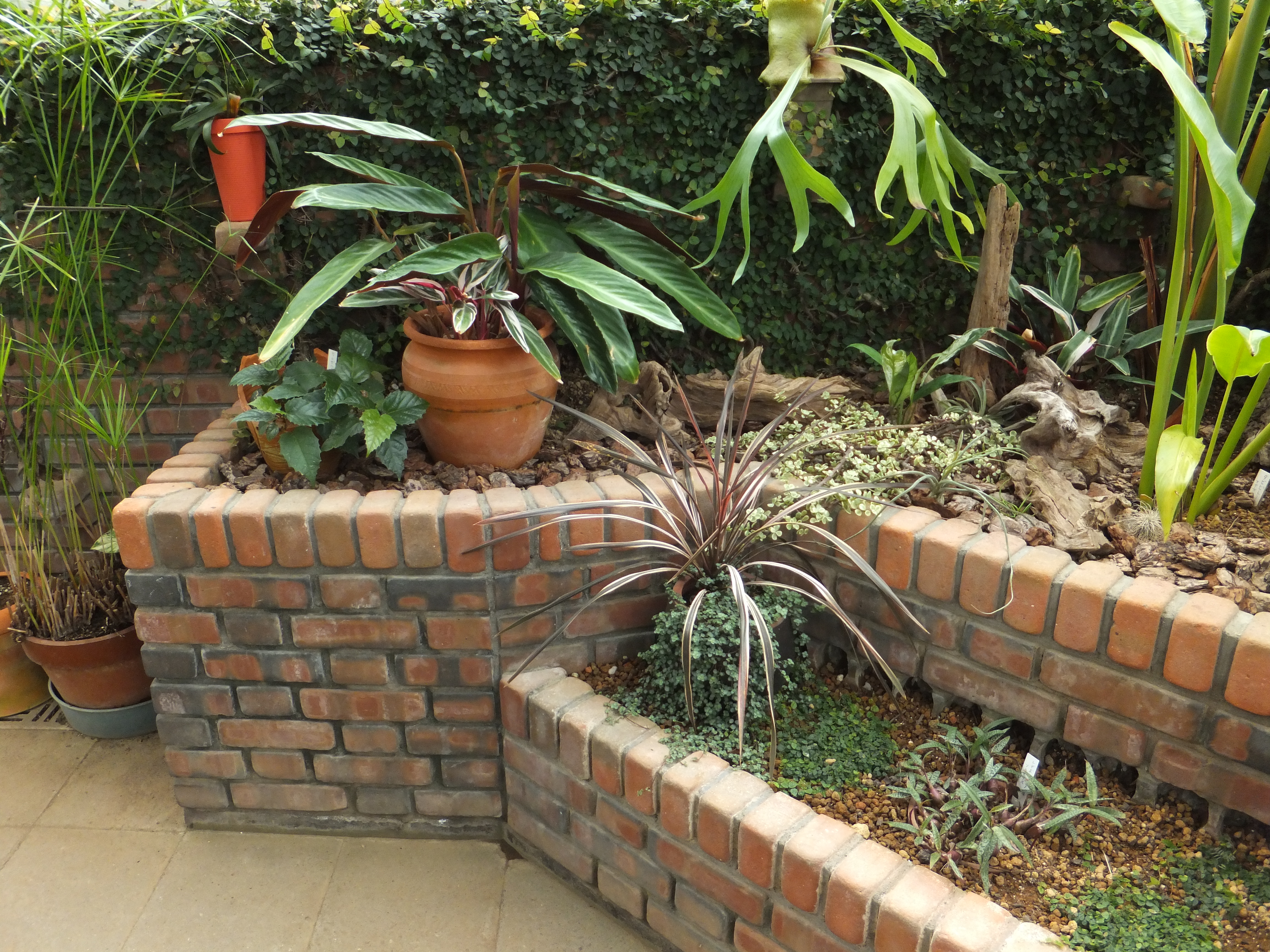 <b>ISO400 / FinePix F550EXR / 約6.0MB / 4,608×3,456 / 1/15秒 / F3.8 / -0.3EV / WB:晴天 / 5.7mm</b>