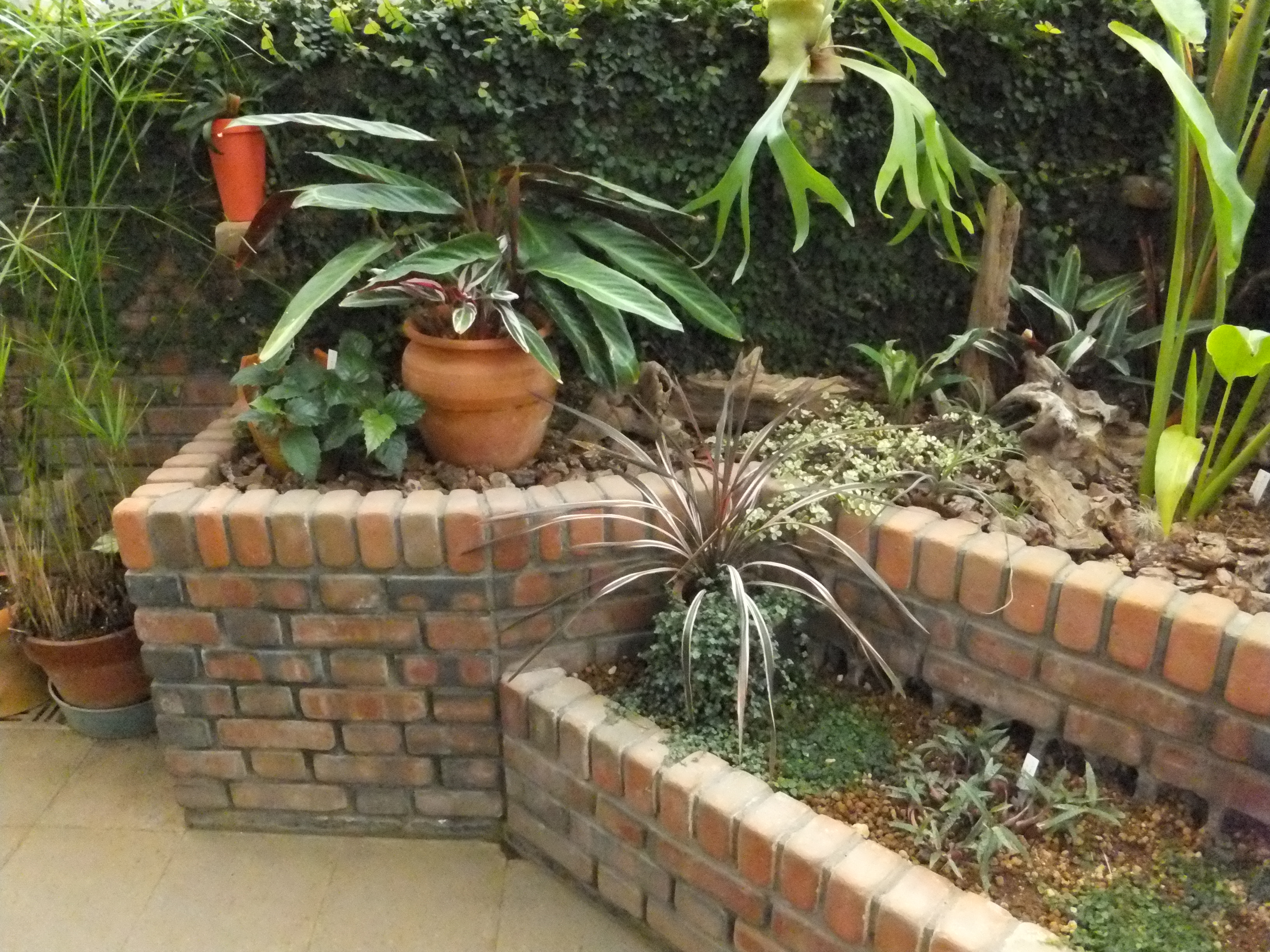 <b>ISO6400 / FinePix F550EXR / 約3.6MB / 3,264×2,448 / 1/220秒 / F3.8 / -0.3EV / WB:晴天 / 5.7mm</b>