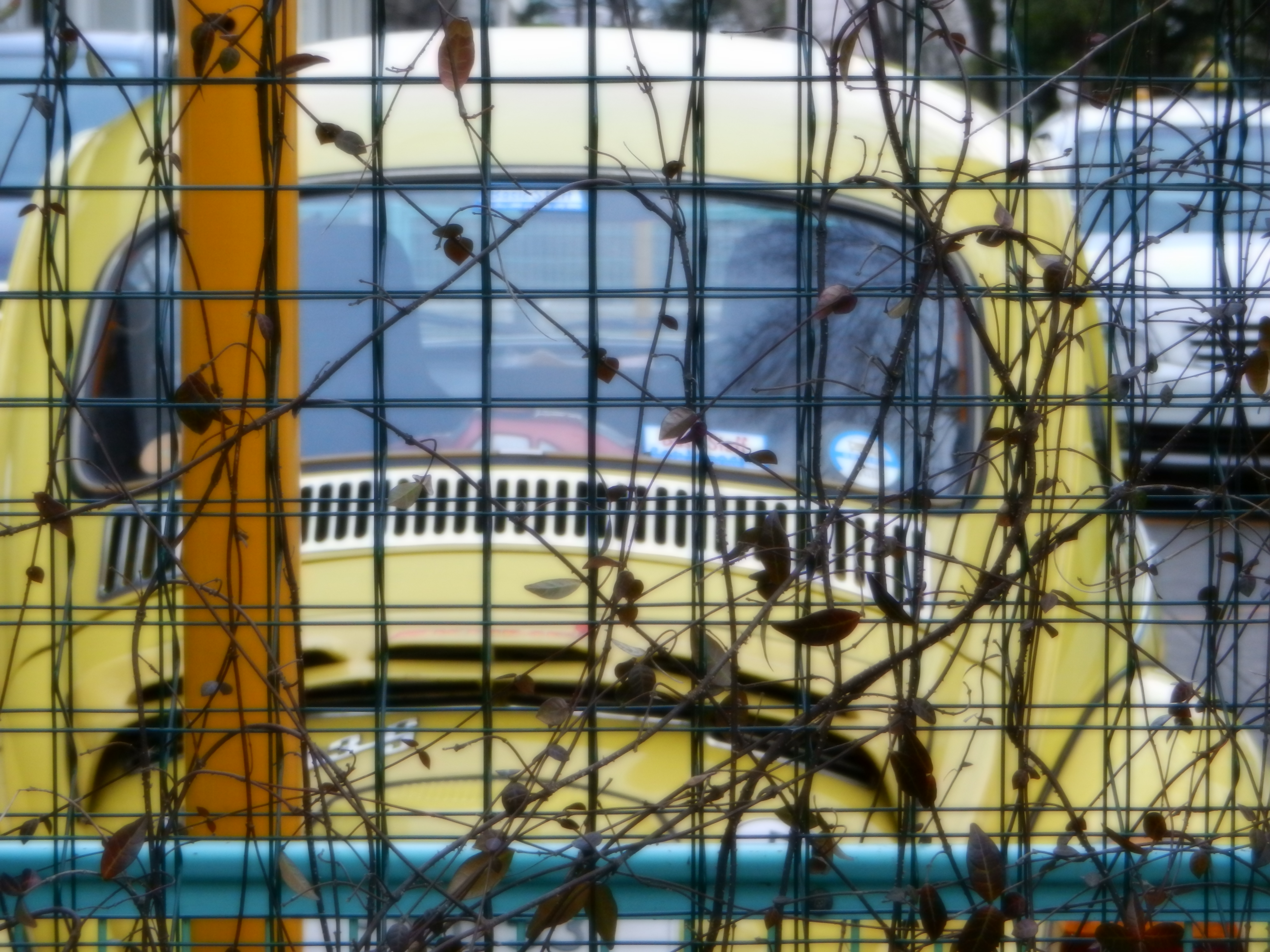 <b>ソフト / COOLPIX S9100 / 4.6MB / 4,000×3,000 / 1/160秒 / F5 / 0.0EV / ISO640 / WB:オート / 19.1mm</b>