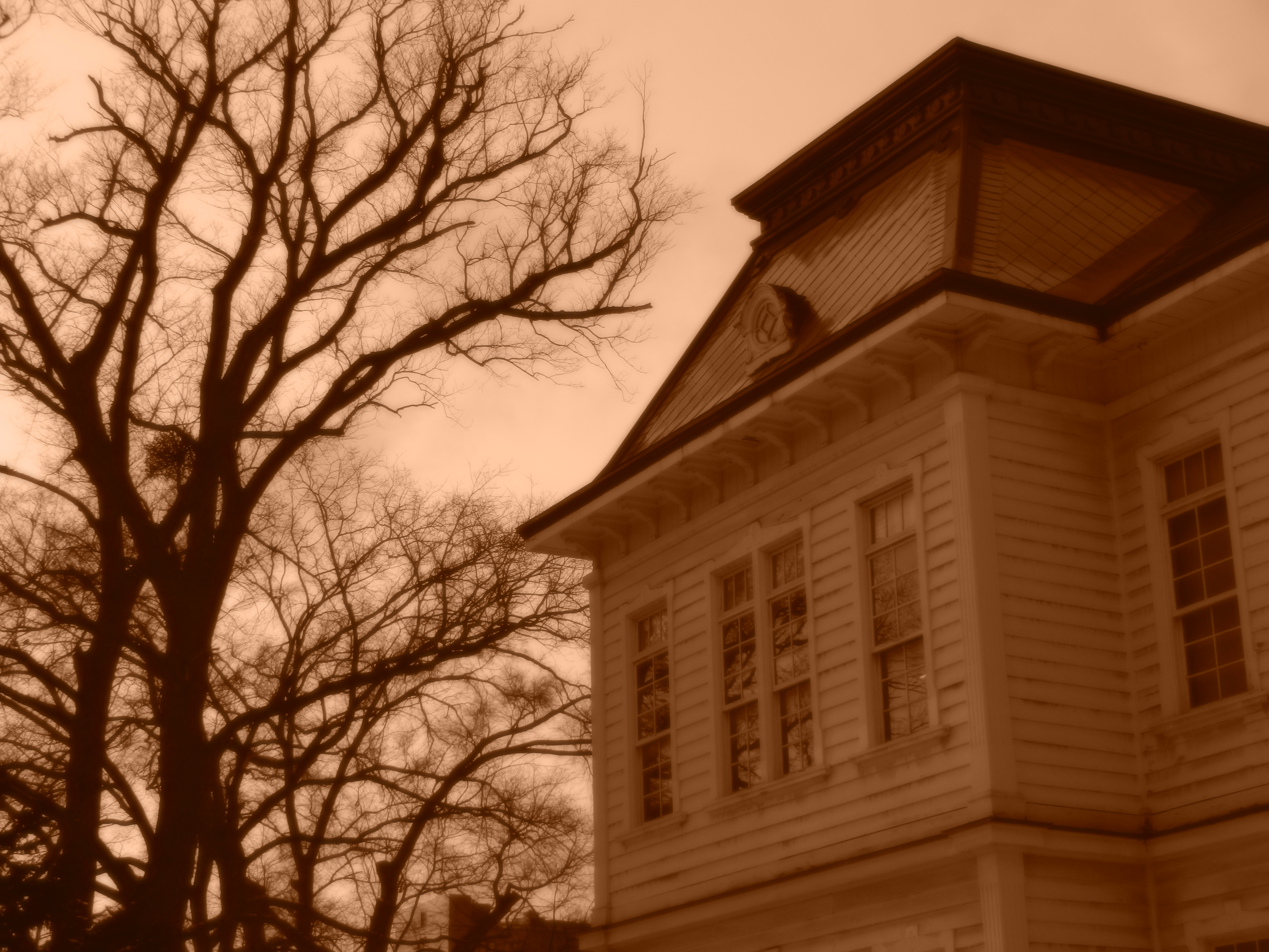 <b>ノスタルジックセピア / COOLPIX S9100 / 4.1MB / 4,000×3,000 / 1/800秒 / F4.5 / 0.0EV / ISO160 / WB:オート / 10.9mm</b>