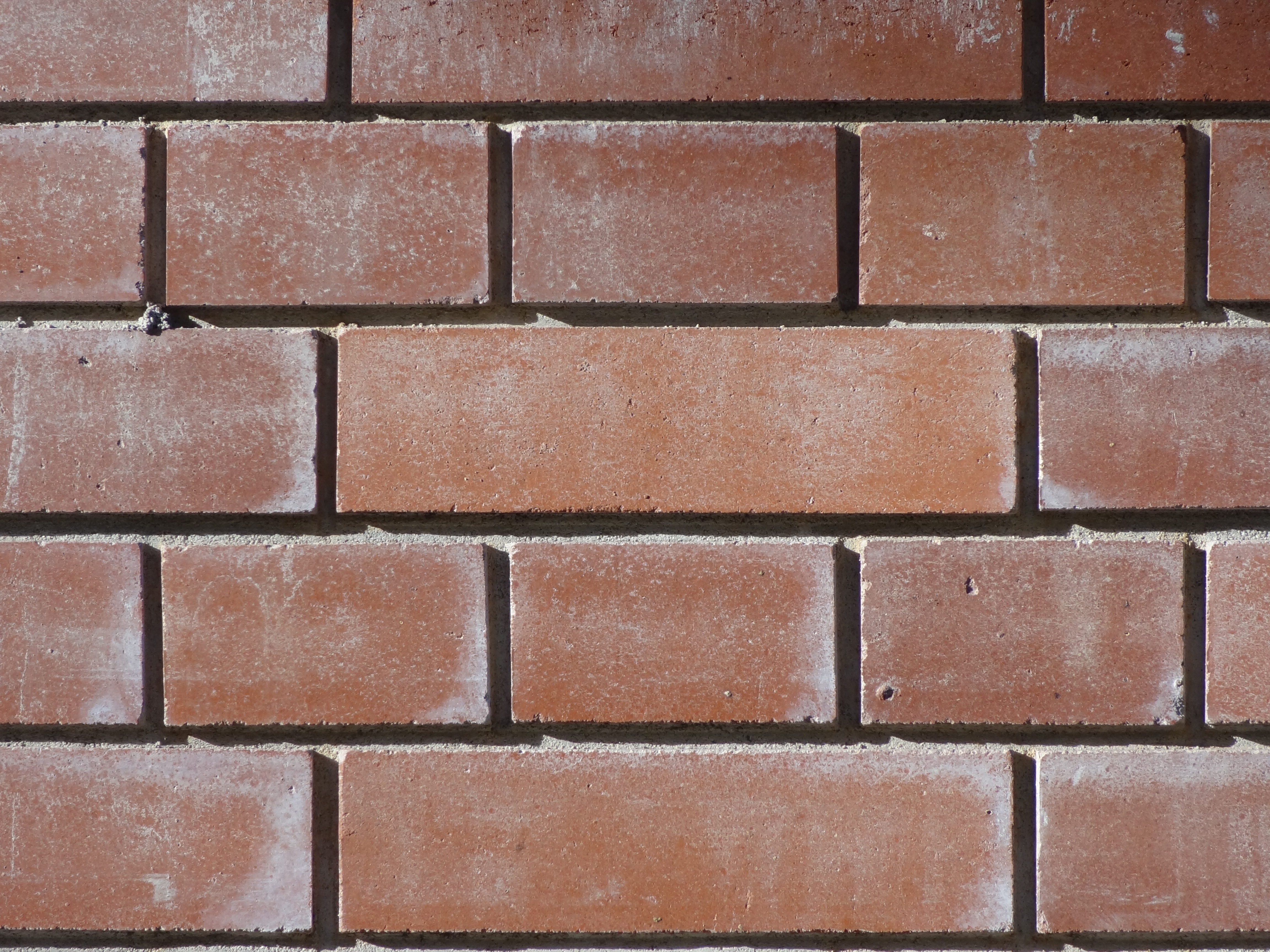 <b>望遠端 / DSC-HX9V / 約5.4MB / 4,608×3,456 / 1/250秒 / F5.9 / 0.0EV / ISO100 / WB:オート / 68.5mm</b>