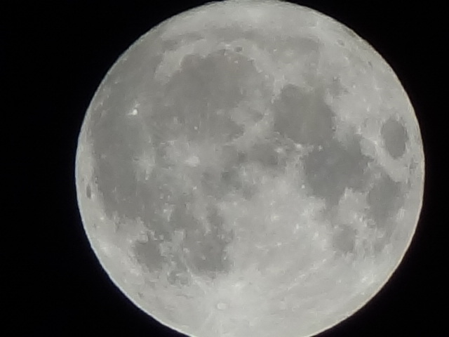 <b>スマートズームを使えばここまで拡大可能。高画素化はこの手の機能で有利に働く。DSC-HX9V / 約75K / 640×480 / 1/320秒 / F5.9 / 0.0EV / ISO100 / WB:オート / 68.5mm</b>