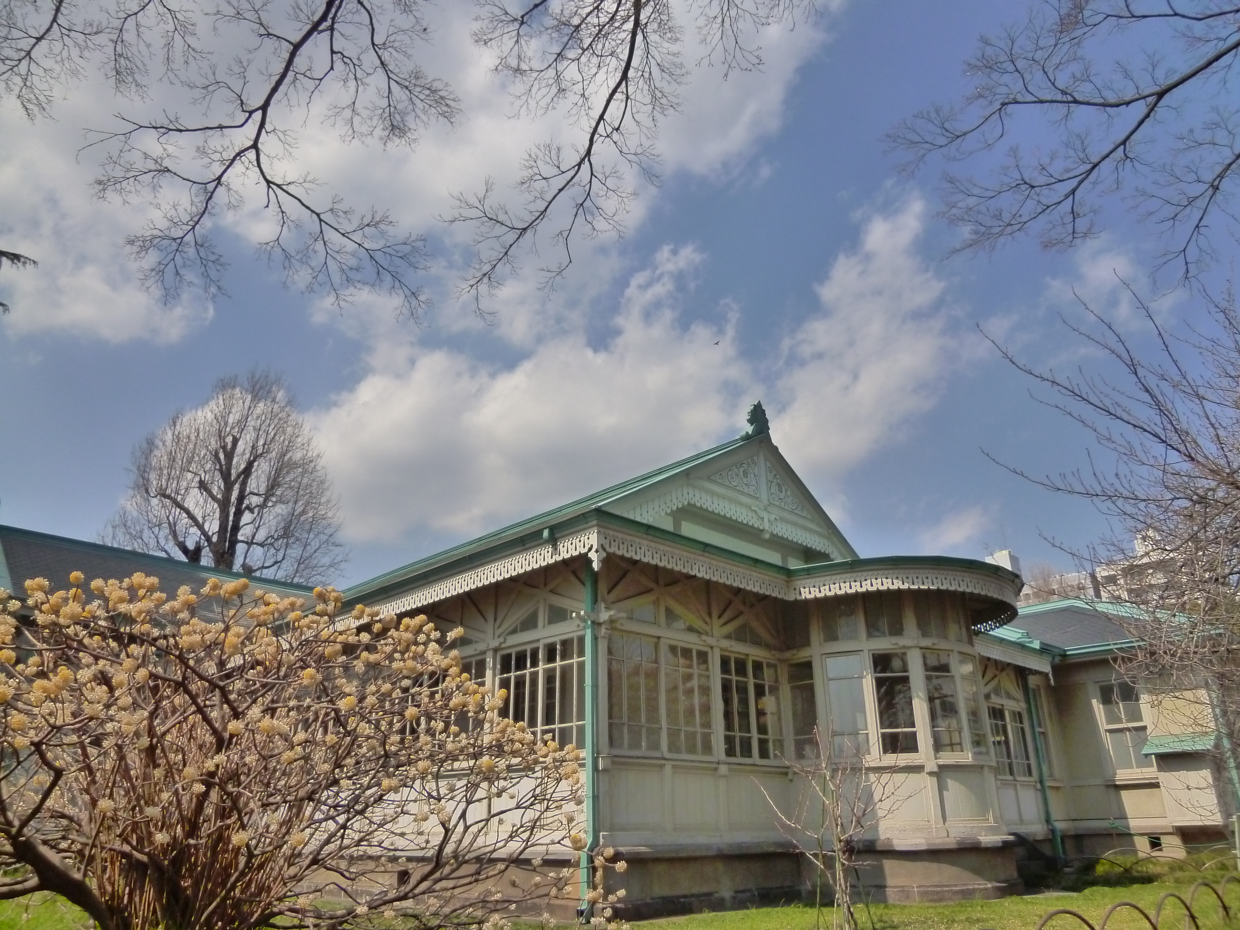 <b>ハイダイナミック</b>