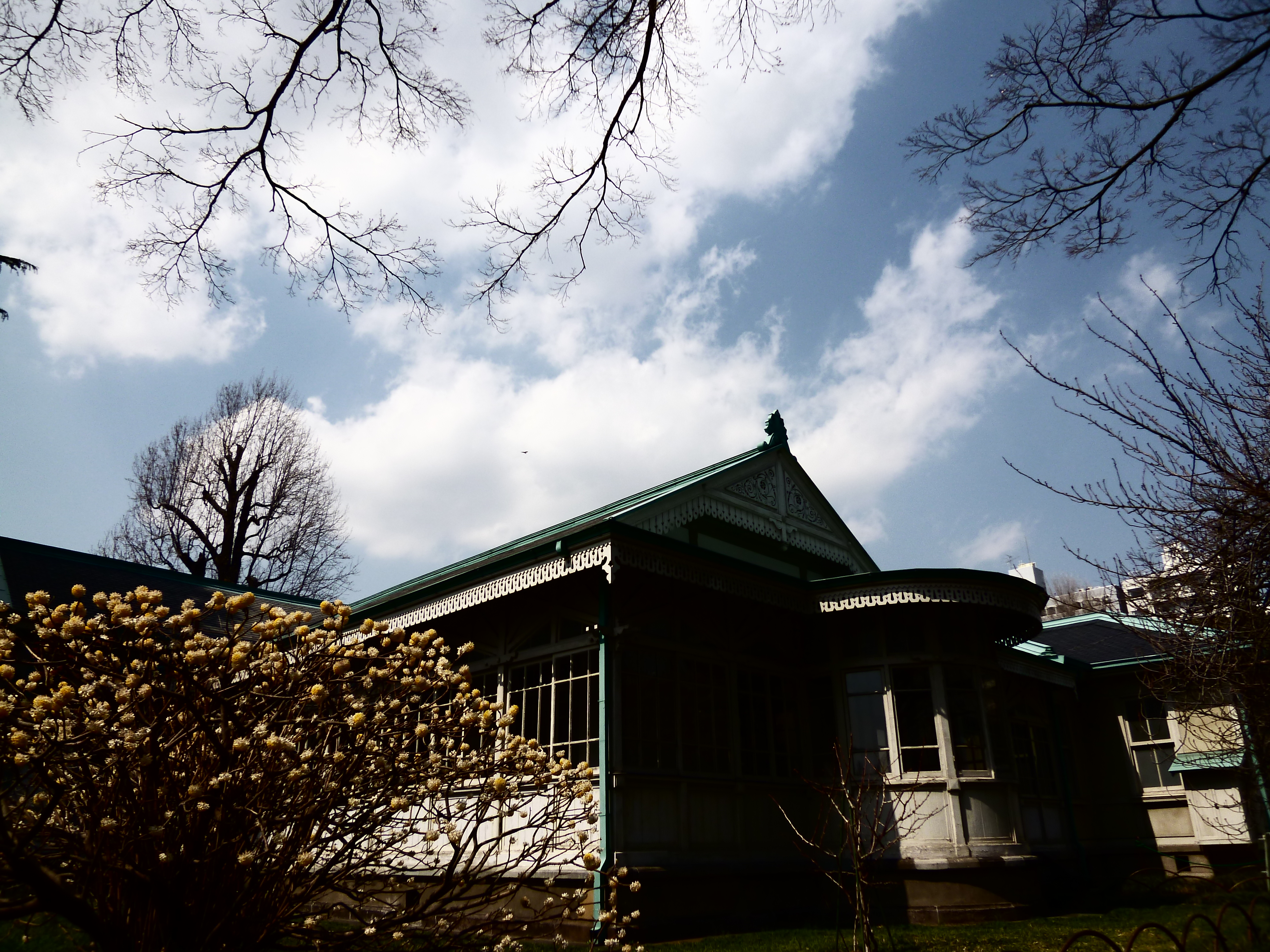 <b>シルエット</b>