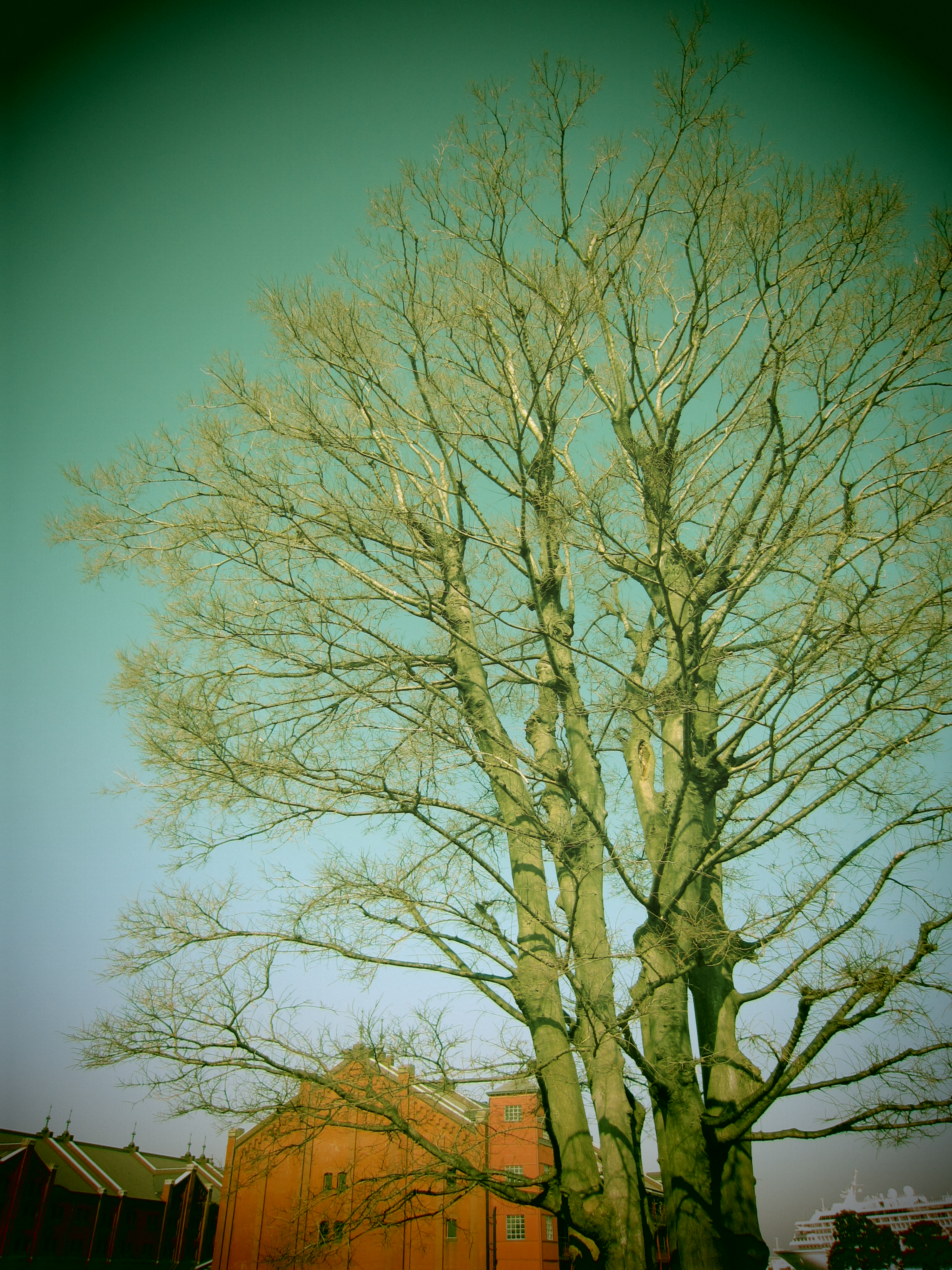 <b>寒色<br>IXY 31S / 4,000×3,000 / 1/1,000秒 / F2.8 / 0EV / ISO100 / トイフォト風 / WB:オート / 4.3mm</b>