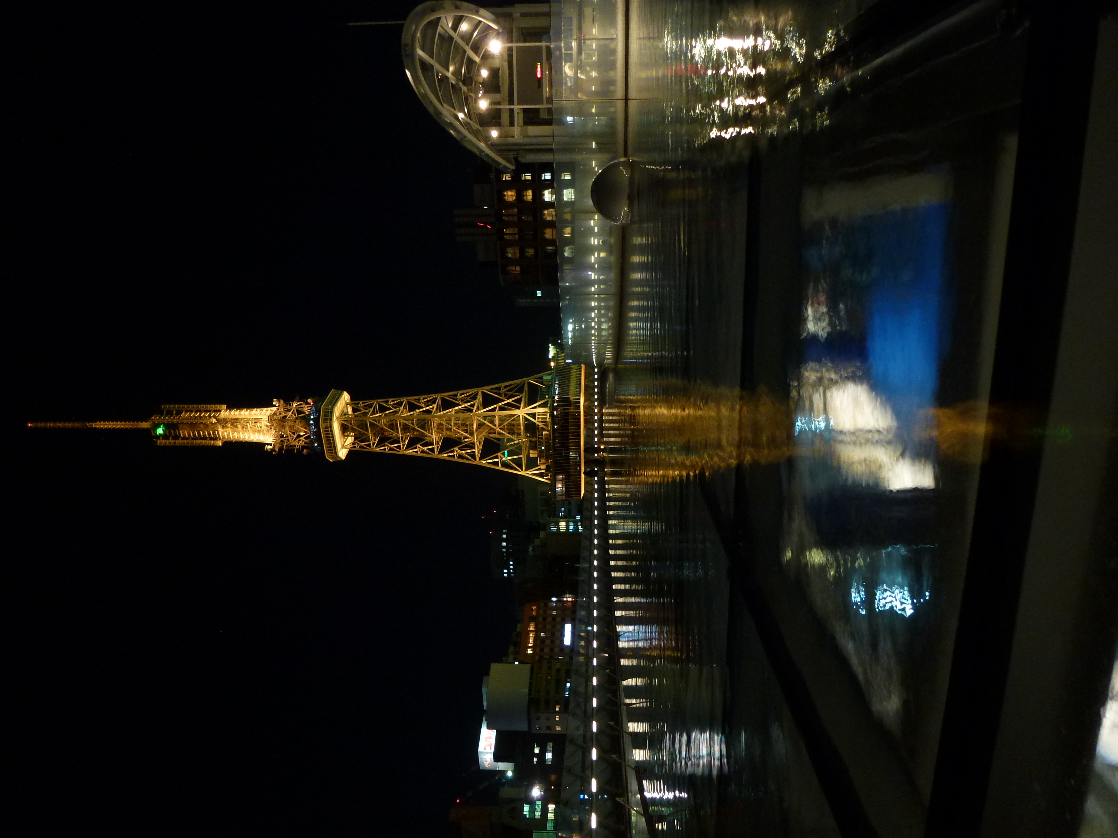 <b>DMC-TZ20 / 4.3MB / 3,240×4,320 / 1/5秒 / F3.3 / -1.0EV / ISO200 / WB:オート / 4.3mm</b>