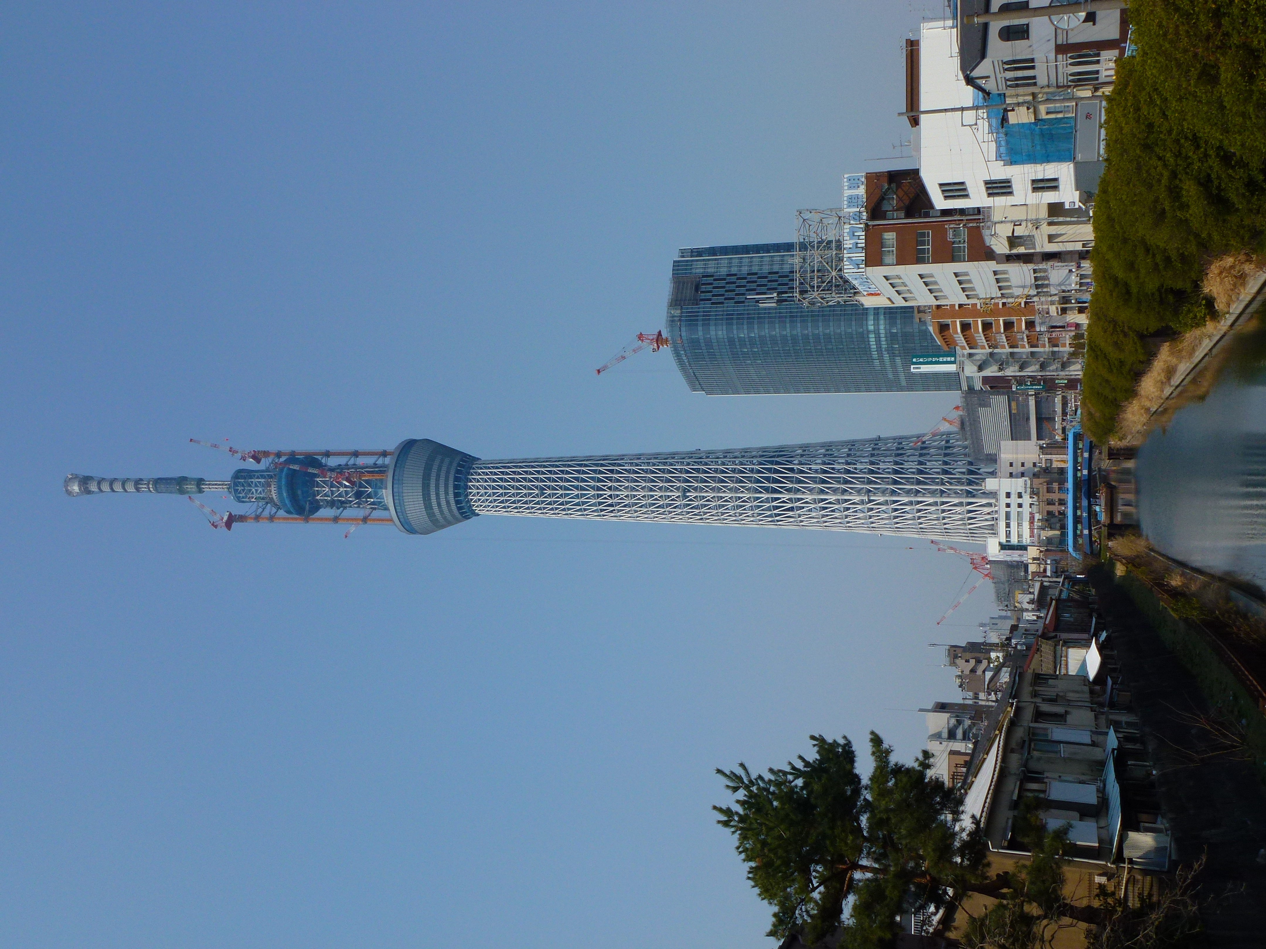 <b>DMC-TZ20 / 5.6MB / 3,240×4,320 / 1/1600秒 / F4 / -0.3EV / ISO100 / WB:オート / 5.9mm</b>