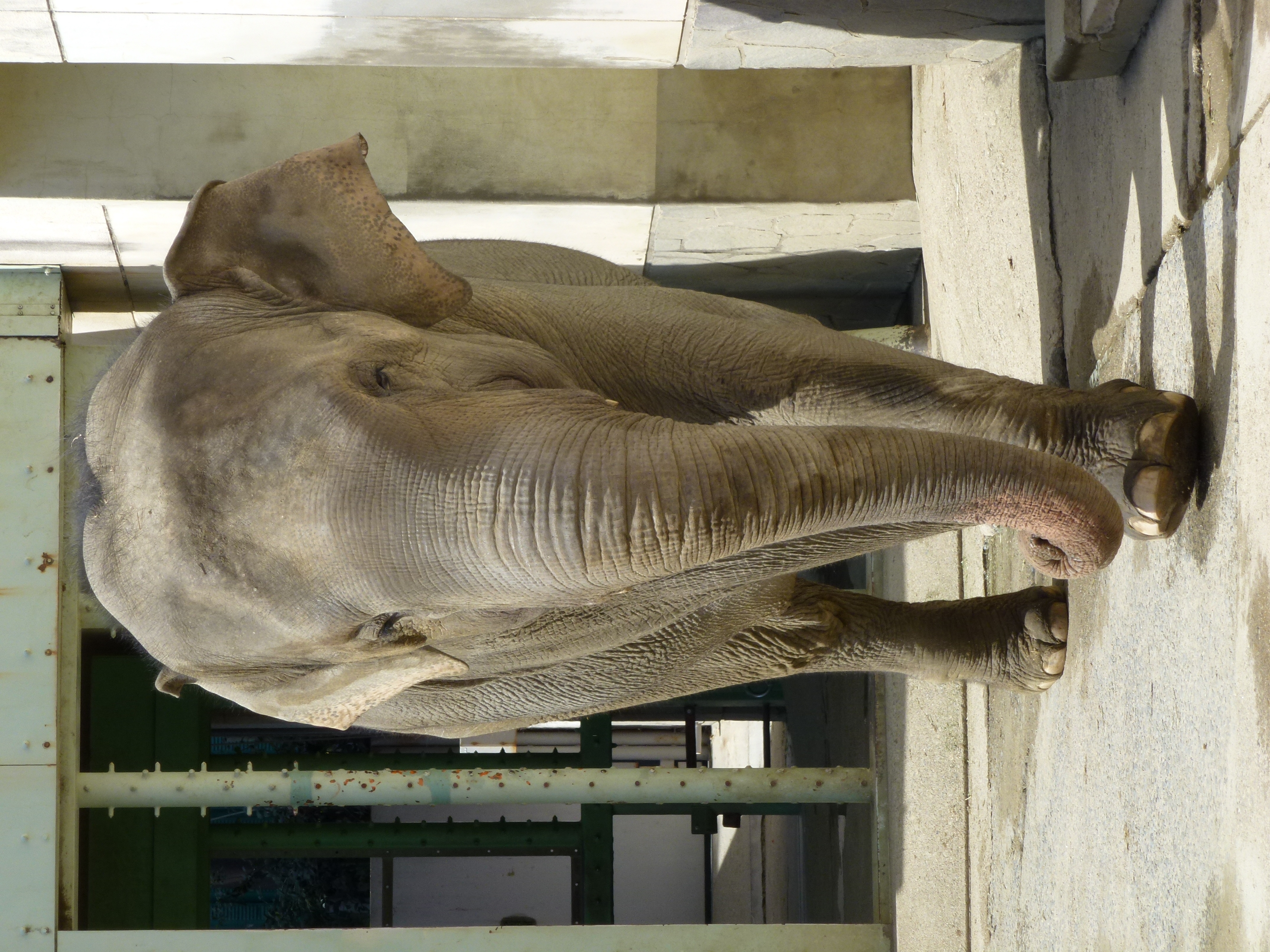 <b>DMC-TZ20 / 5.4MB / 3,240×4,320 / 1/400秒 / F5.3 / 0.0EV / ISO100 / WB:オート / 27.7mm</b>