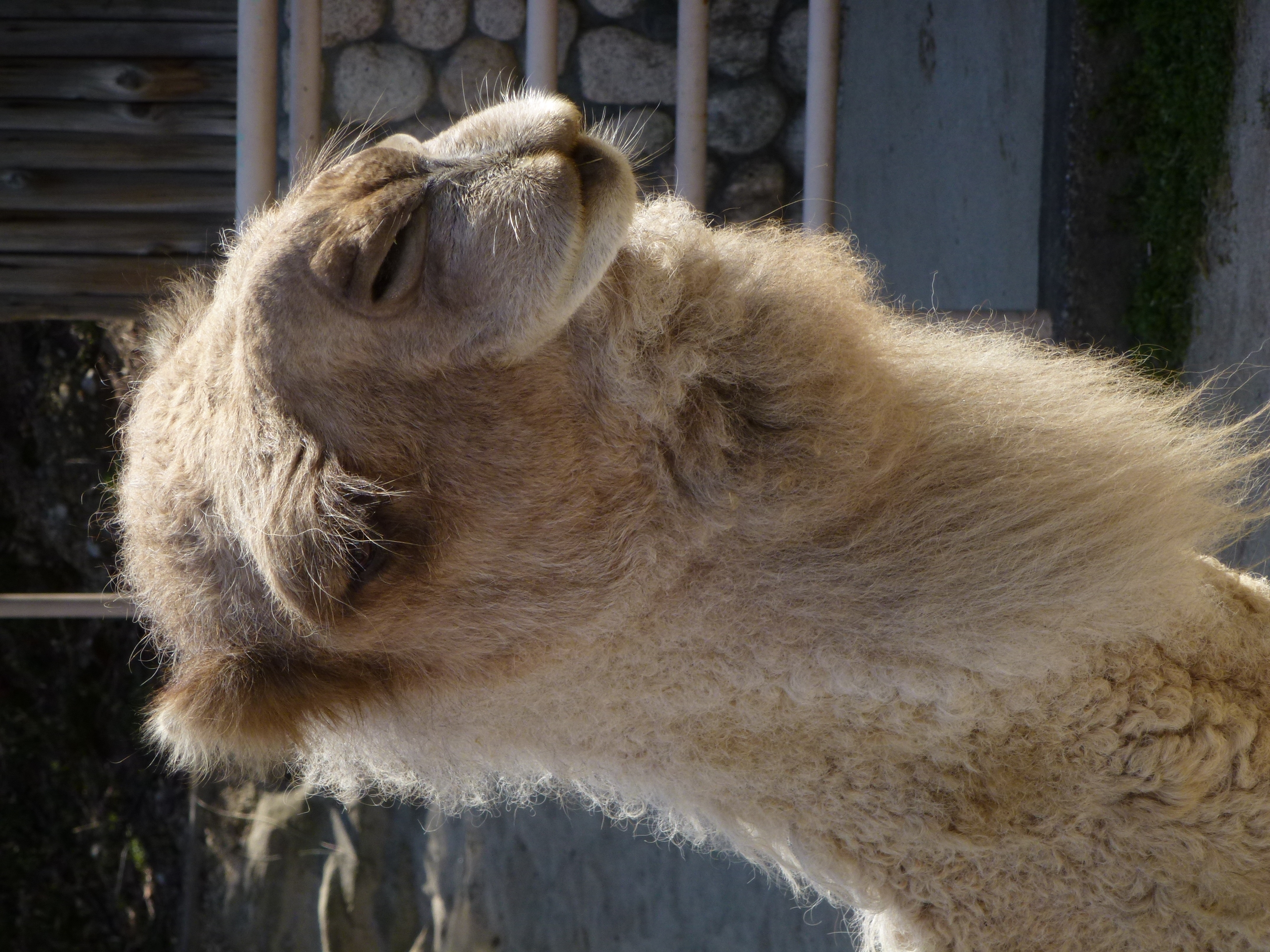 <b>DMC-TZ20 / 5.4MB / 3,240×4,320 / 1/320秒 / F5.4 / -0.7EV / ISO100 / WB:オート / 32.6mm</b>