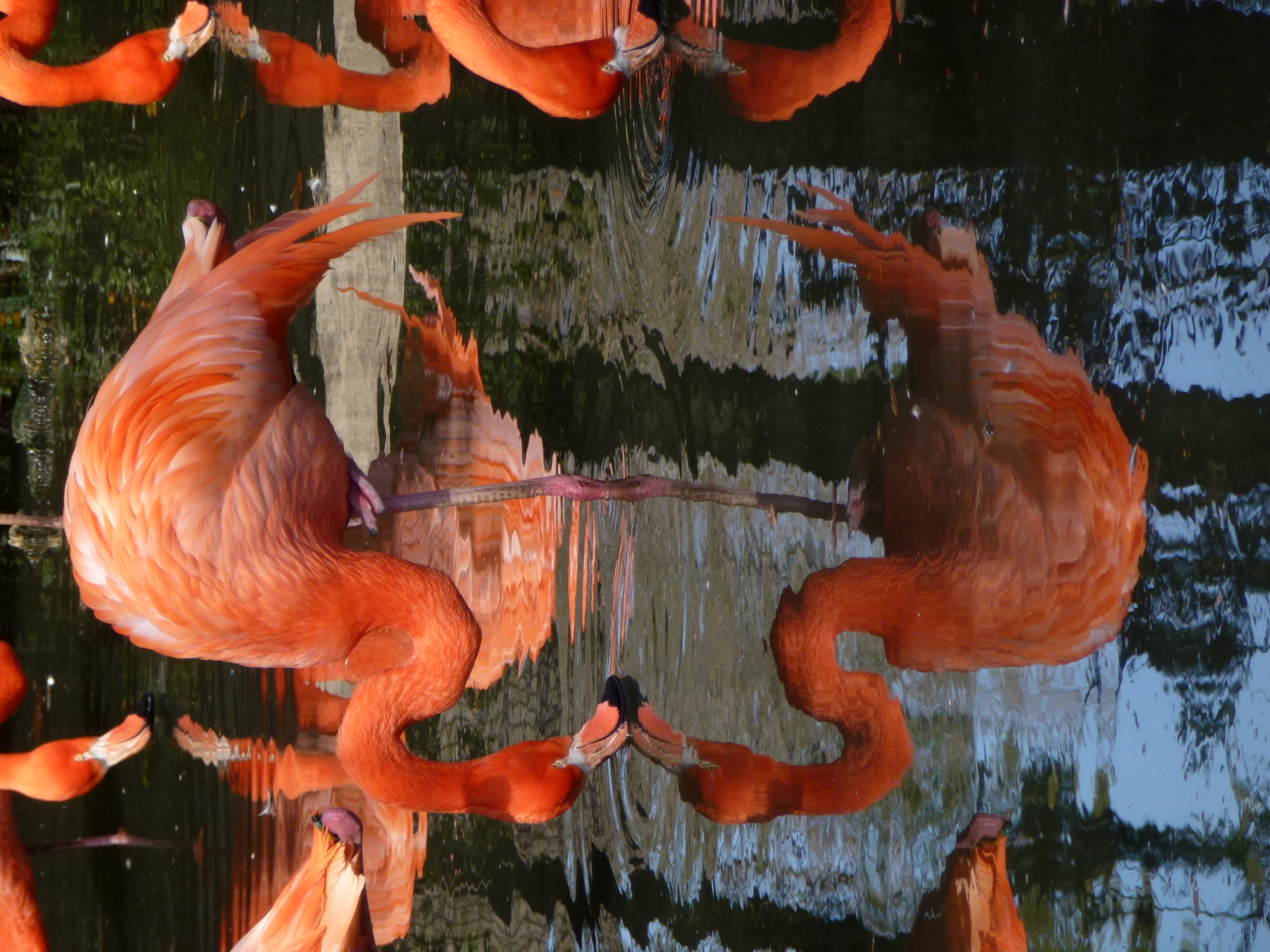 <b>DMC-TZ20 / 5.5MB / 3,240×4,320 / 1/200秒 / F5.9 / -0.7EV / ISO100 / WB:オート / 67mm</b>