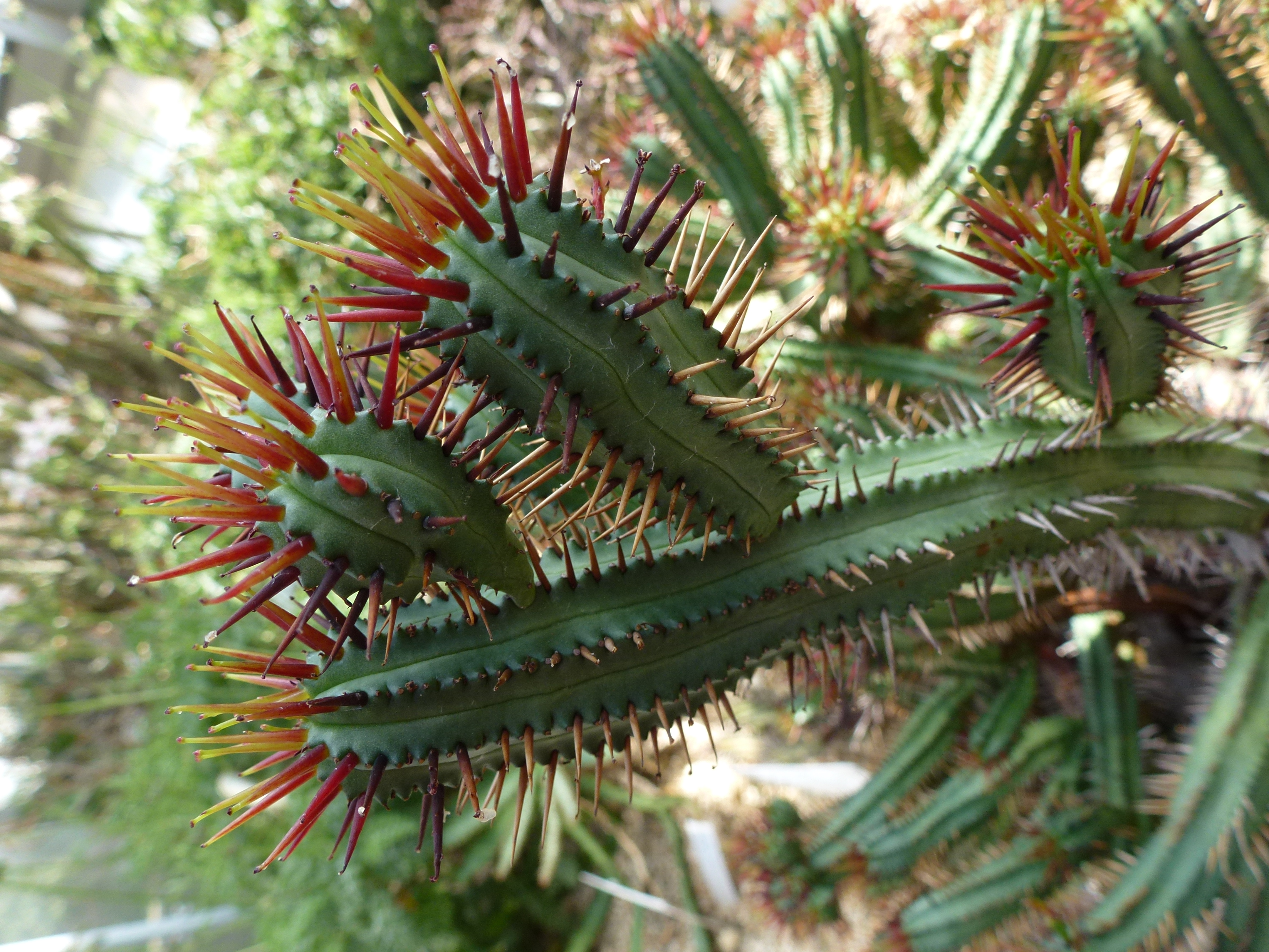 <b>DMC-TZ20 / 5.8MB / 3,240×4,320 / 1/125秒 / F3.5 / -0.3EV / ISO100 / WB:オート / 4.3mm</b>