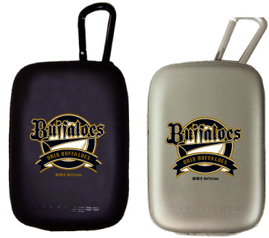 <b>付属のケース</b>