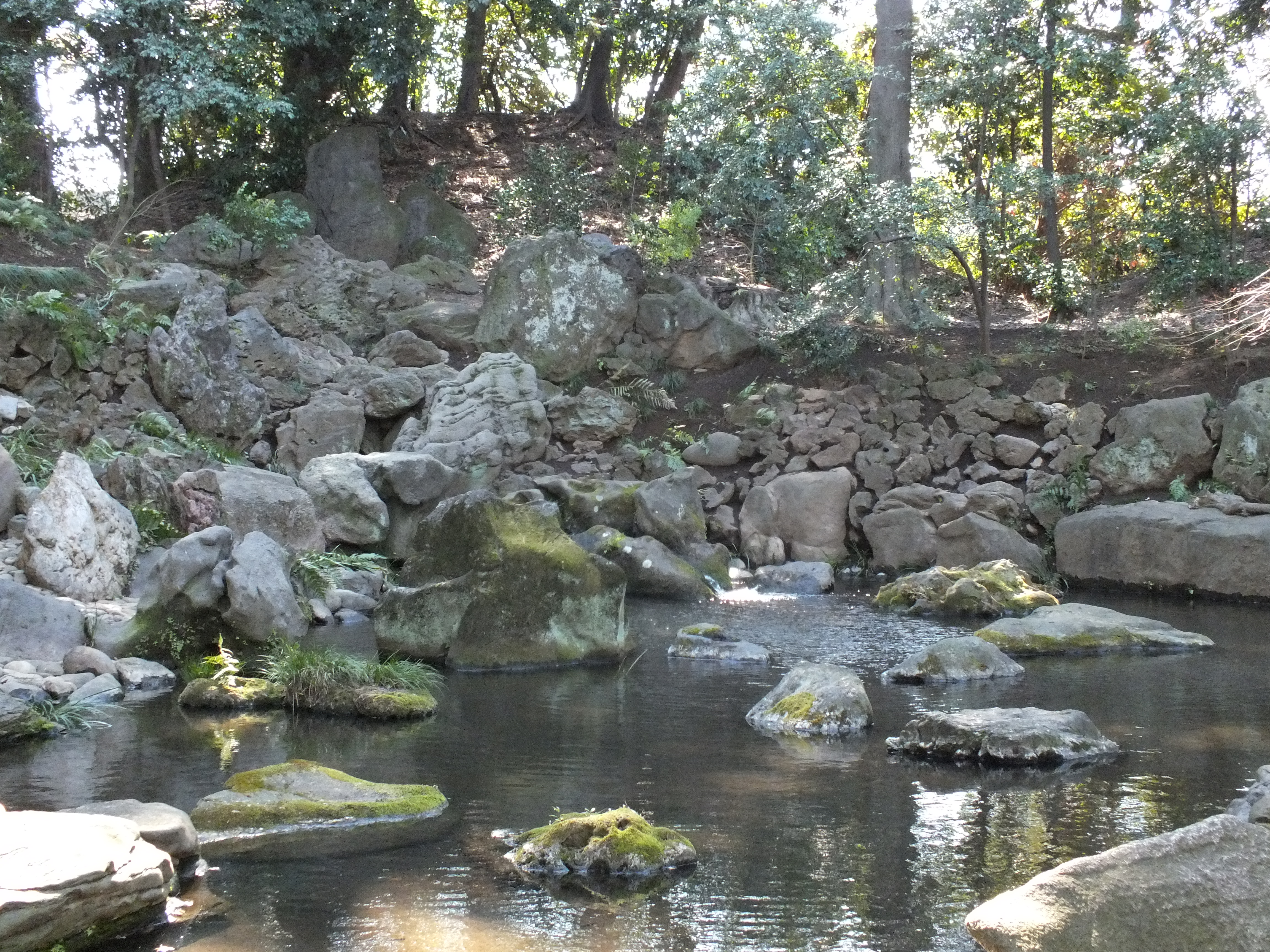 <strong>FinePix HS20EXR / 4,608×3,456 / 1/180秒 / F3.6 / 0EV / ISO800 / プログラム / WB:オート / 8.9mm</strong>