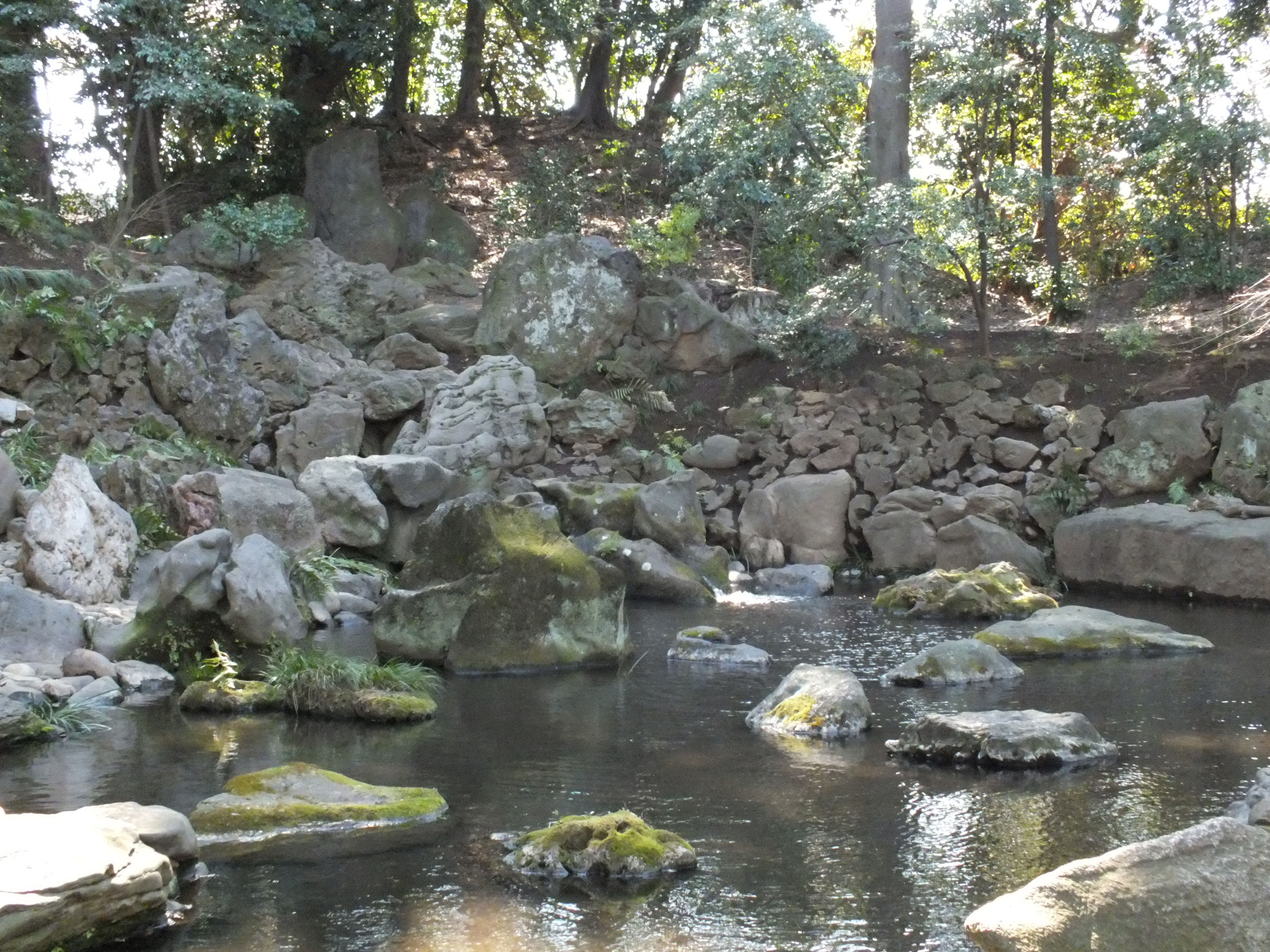 <strong>FinePix HS20EXR / 4,608×3,456 / 1/300秒 / F4 / 0EV / ISO1600 / プログラム / WB:オート / 8.9mm</strong>