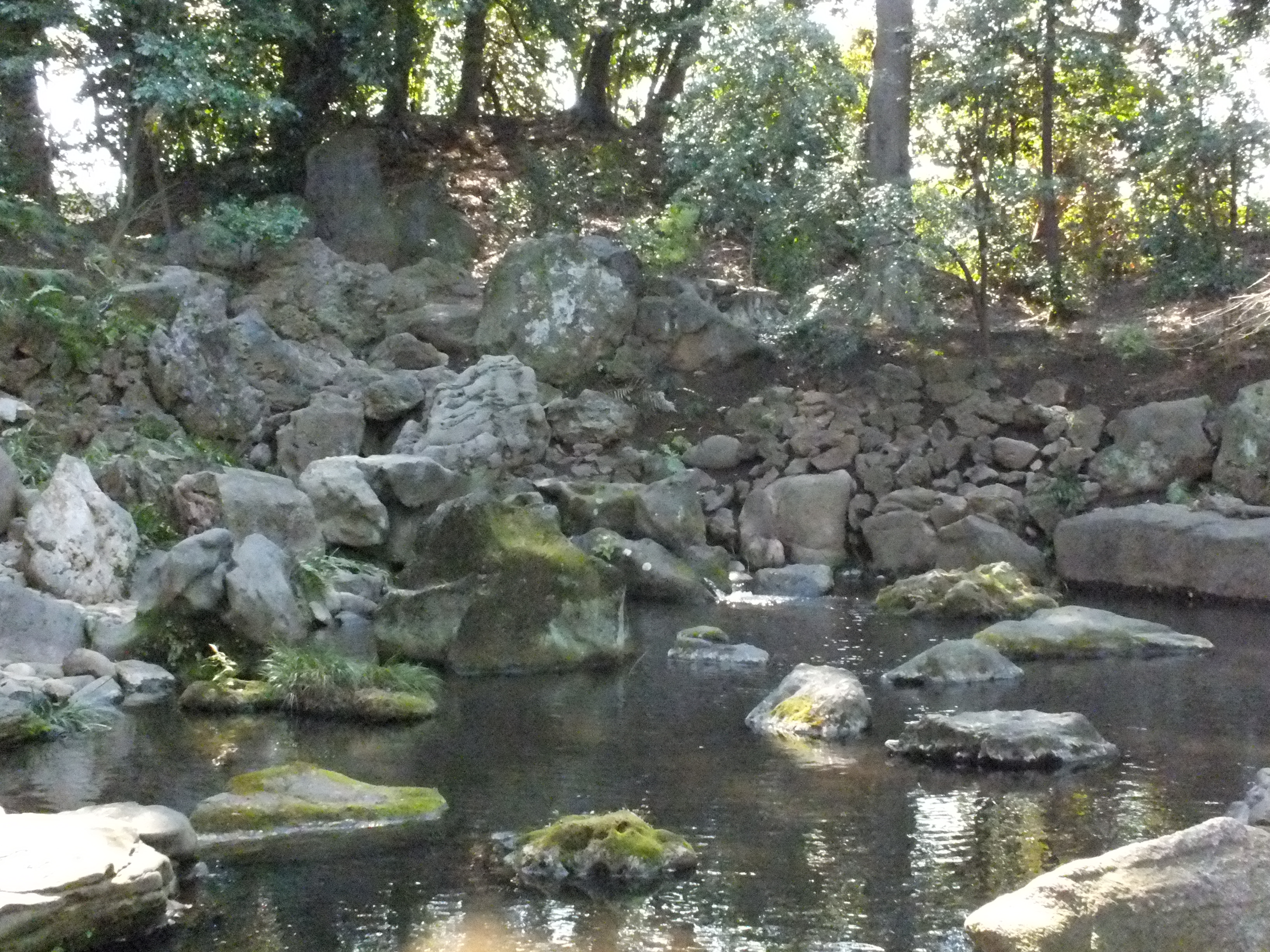 <strong>FinePix HS20EXR / 3,264×2,448 / 1/800秒 / F5 / 0EV / ISO6400 / プログラム / WB:オート / 8.9mm</strong>