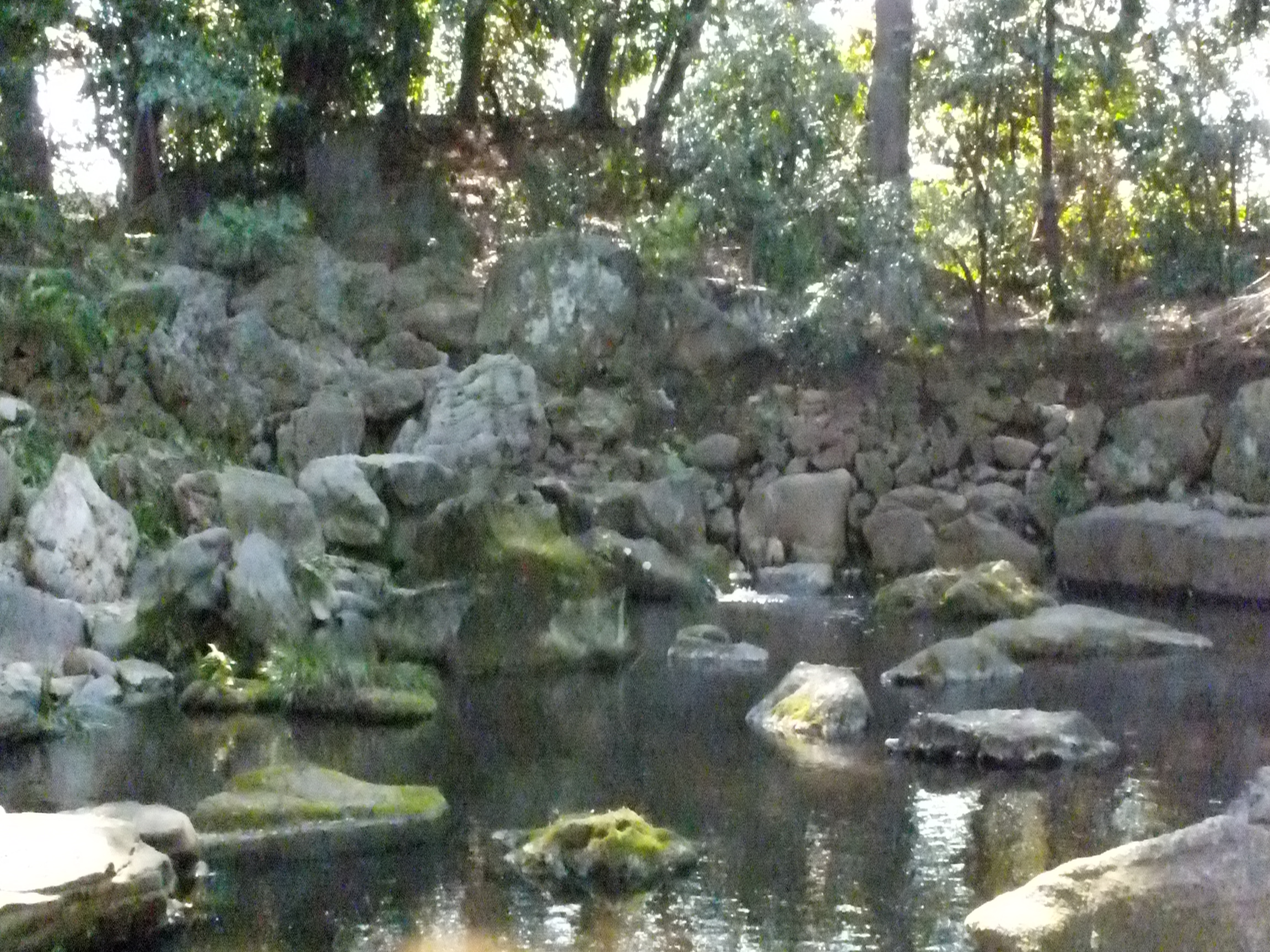 <strong>FinePix HS20EXR / 2,304×1,728 / 1/800秒 / F7.1 / 0EV / ISO12800 / プログラム / WB:オート / 8.9mm</strong>