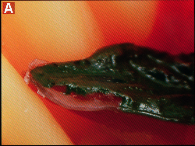 <b>最大まで拡大した状態での倍率は約7.7倍。MFで精密なピント合わせをしたいとき用</b>