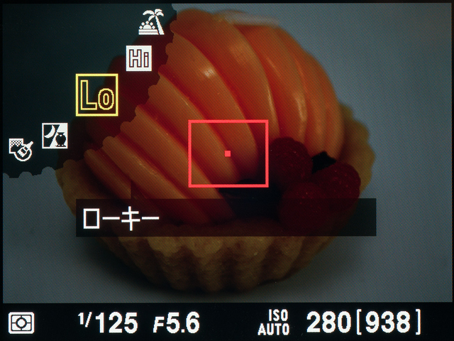 <b>黒ものを撮るのにぴったりのローキー</b>