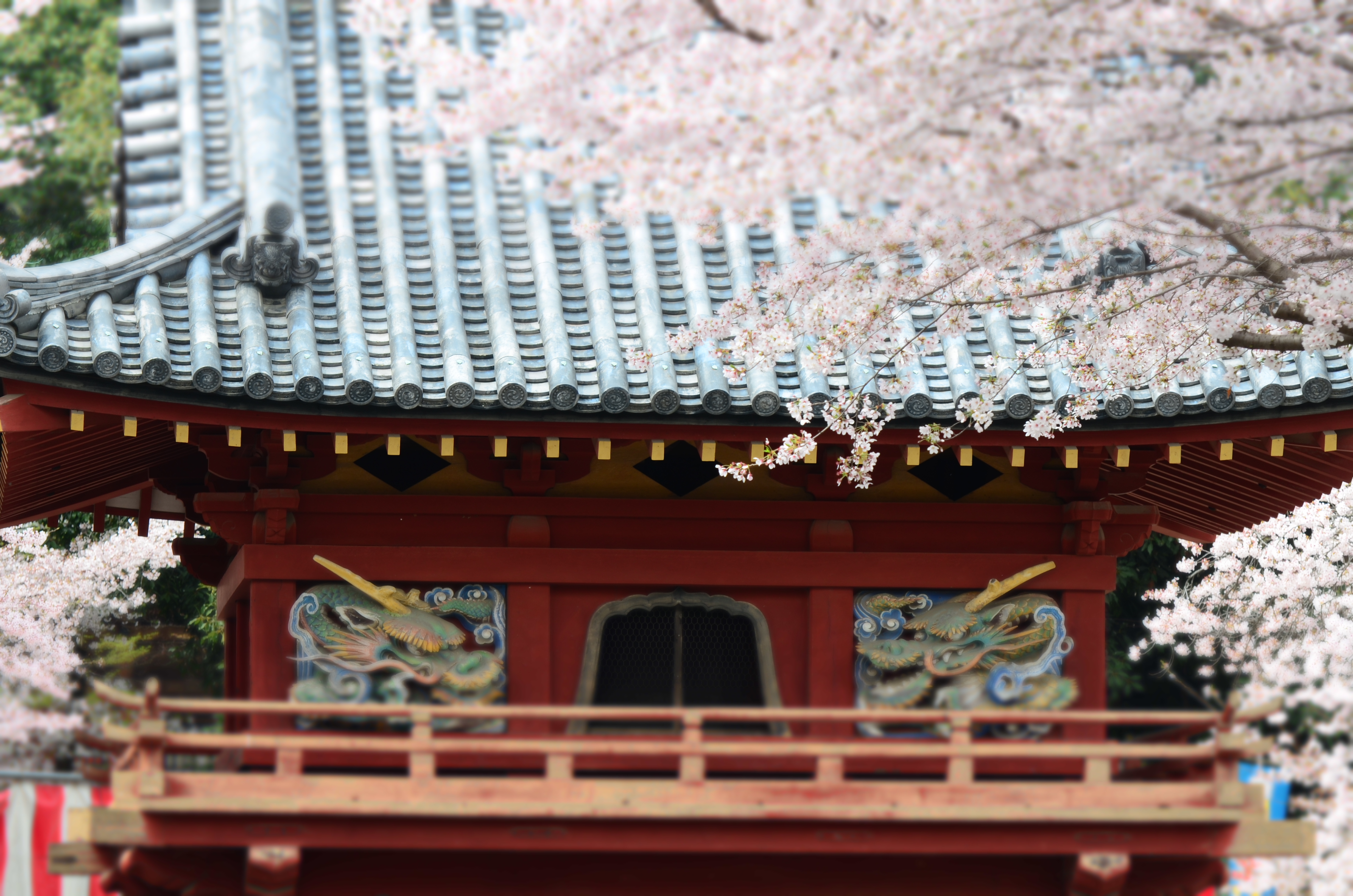 <b>処理がかなり重いので動くものを手持ちで撮るのは至難の業だが、他社と異なり縦位置にも対応できるのはうれしい。D5100 / AF-S VR Zoom Nikkor ED 70-300mm F4.5-5.6 G（IF） / 4,928×3,264 / ミニチュア効果 / 1/80秒 / F8 / 0EV / ISO100 / WB:オート / 125mm（187.5mm相当）</b>