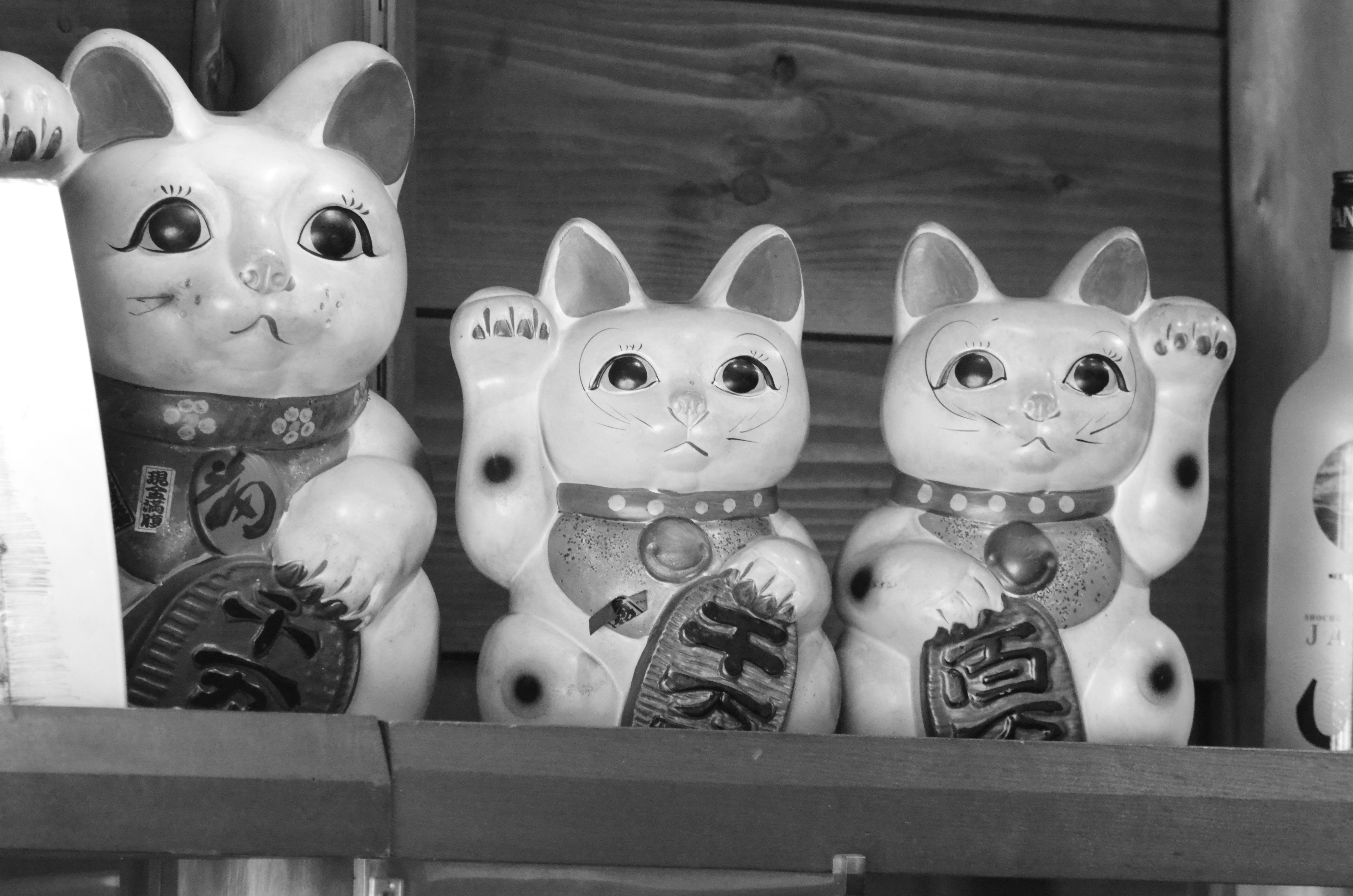 <b>こちらは置物。モノクロになっているせいもあるが、ISO6400なのに、思ったよりもなめらかでディテールもよく残っている。D5100 / AF-S VR Zoom Nikkor ED 70-300mm F4.5-5.6 G（IF） / 4,928×3,264 / ナイトビジョン / 1/250秒 / F8 / 0EV / ISO6400 / WB:太陽光 / 300mm（450mm相当）</b>