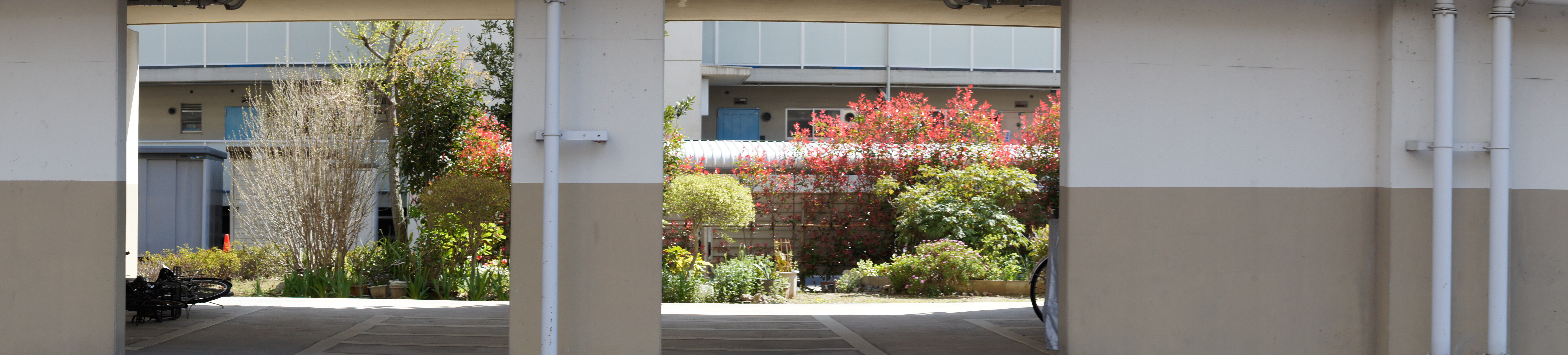 <b>NEX-5 / ハッセルブラッド45mm F4 / 8,192×1,856 / 1/500秒 / F5.6 / 0EV / ISO250 / WB:オート / 45mm</b>