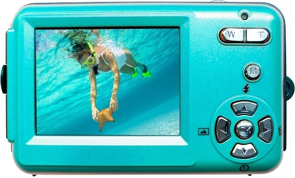 <b>W508 Starfish</b>