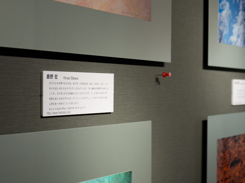 <b>作品には、作家によるコメントが添えられている</b>