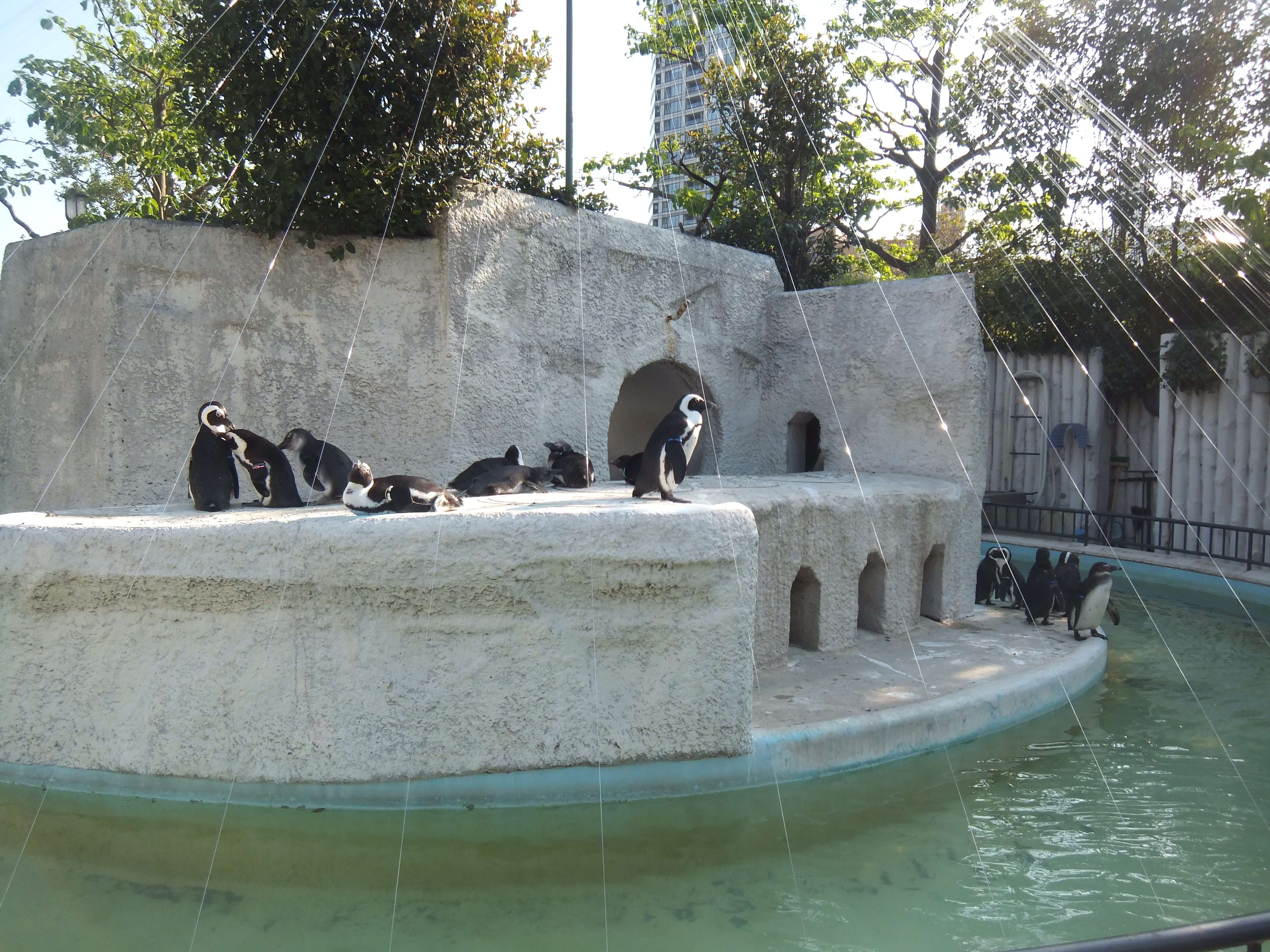 <b>広角端（28mm相当）/FinePix Z900EXR / 4,608×3,456 / 1/320秒 / F3.9 / 0EV / ISO100 / プログラム / WB:オート / 5mm</b>