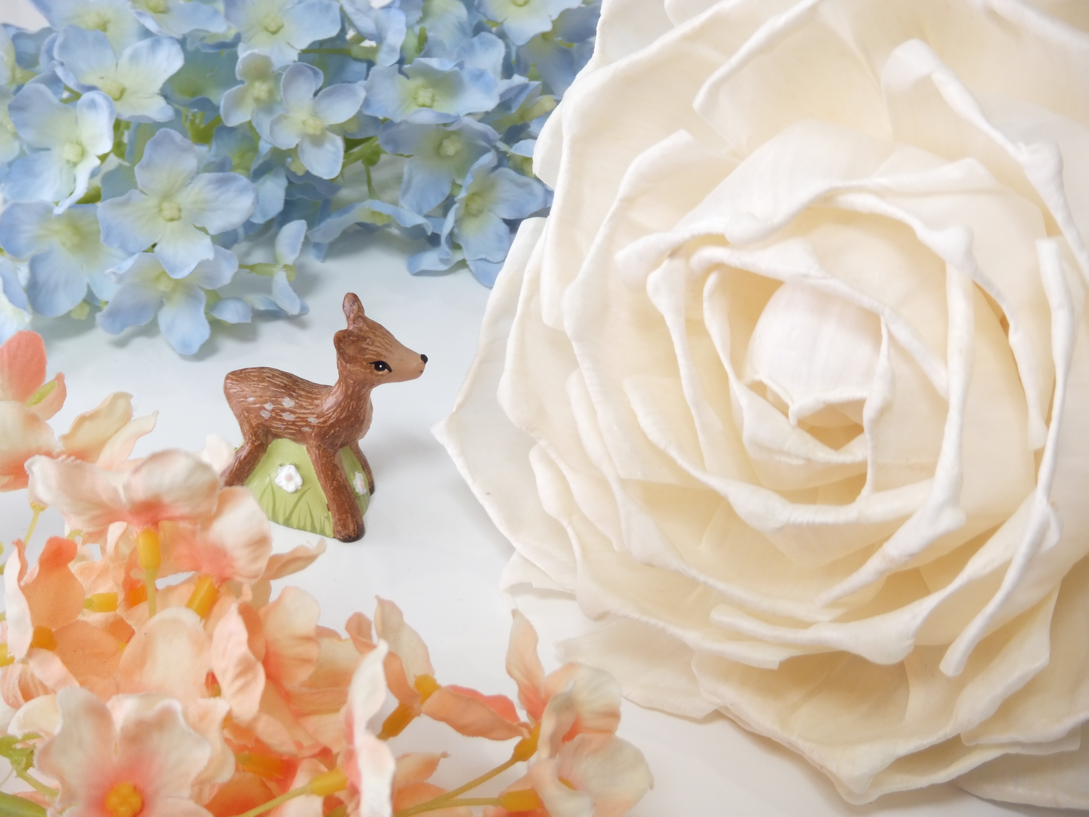 <b>（参考）FinePix Z900EXR / 4,608×3,456 / 1/8秒 / F4.7 / +0.7EV / ISO100 / 高解像度優先 / WB:オート / 11.8mm</b>