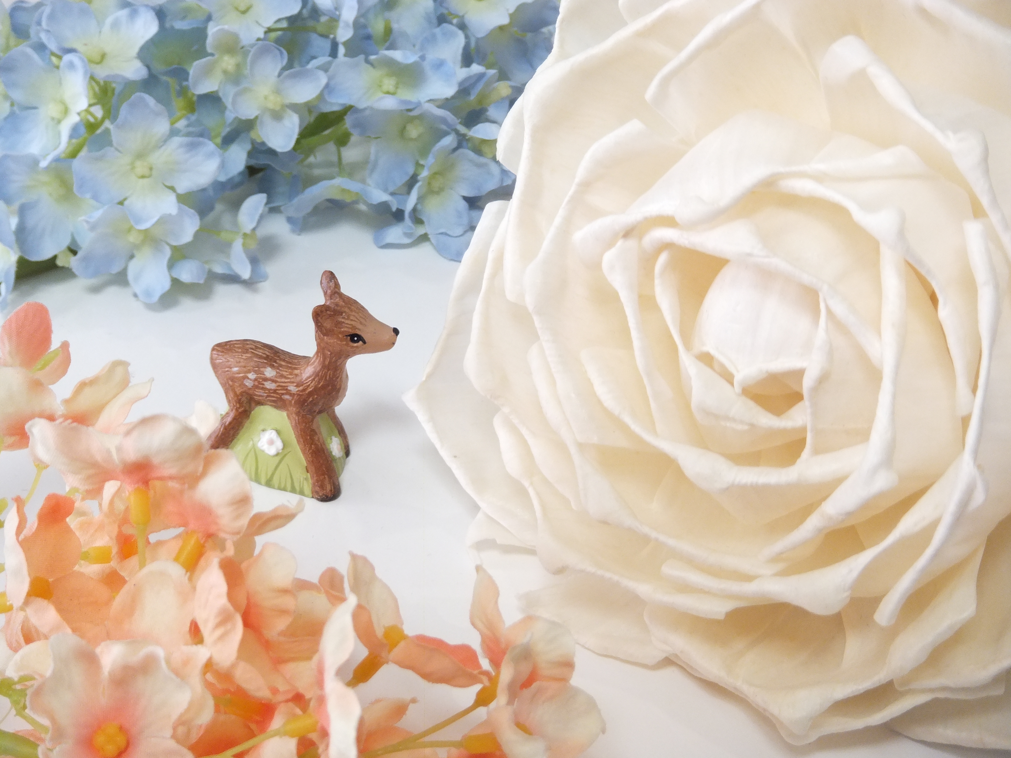 <b>Dレンジ100％/FinePix Z900EXR / 3,264×2,448 / 1/28秒 / F4.7 / +0.7EV / ISO400 / ダイナミックレンジ優先 / WB:オート / 11.8mm</b>