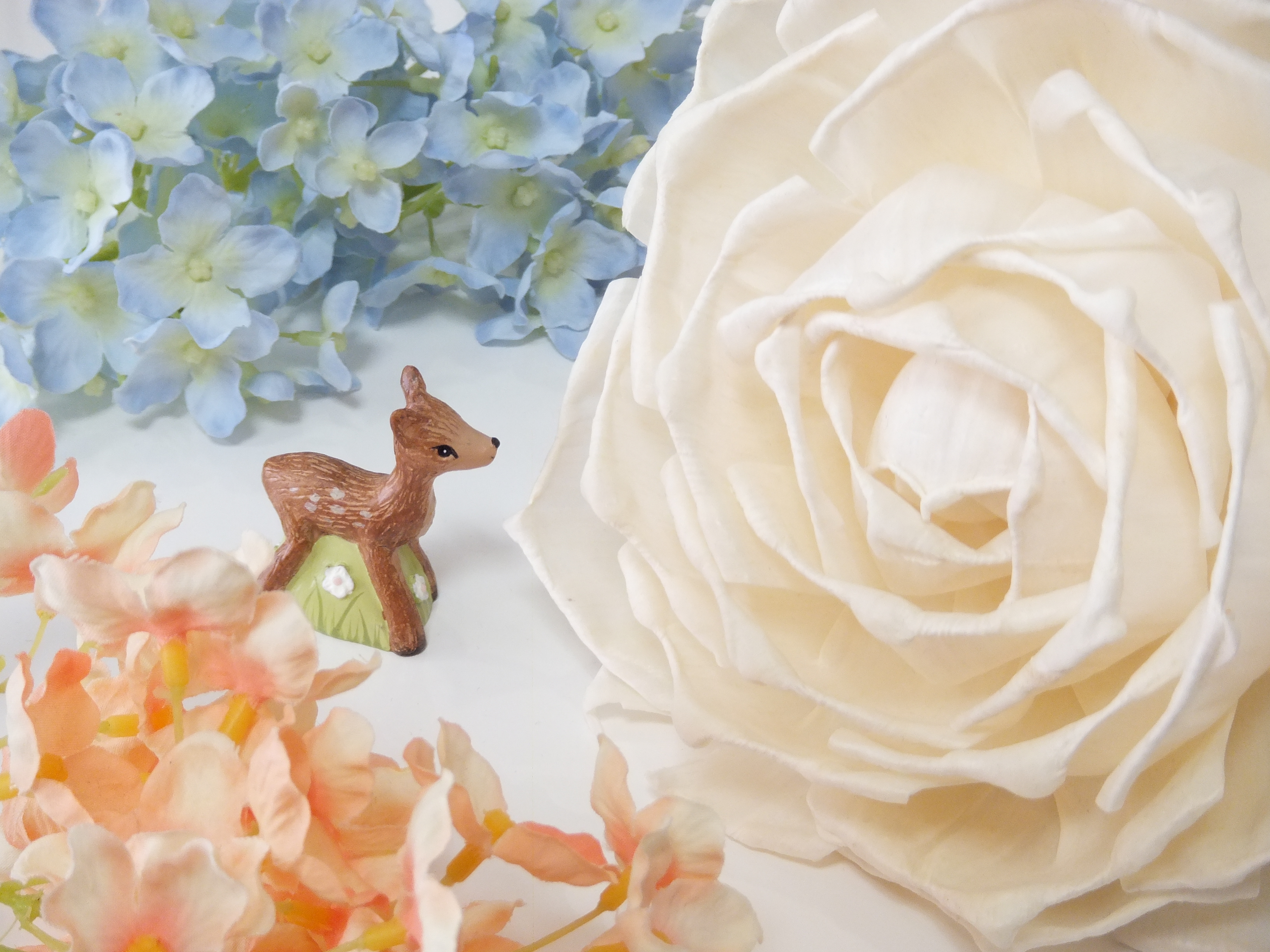 <b>Dレンジ200％/FinePix Z900EXR / 3,264×2,448 / 1/27秒 / F4.7 / +0.7EV / ISO400 / ダイナミックレンジ優先 / WB:オート / 11.8mm</b>