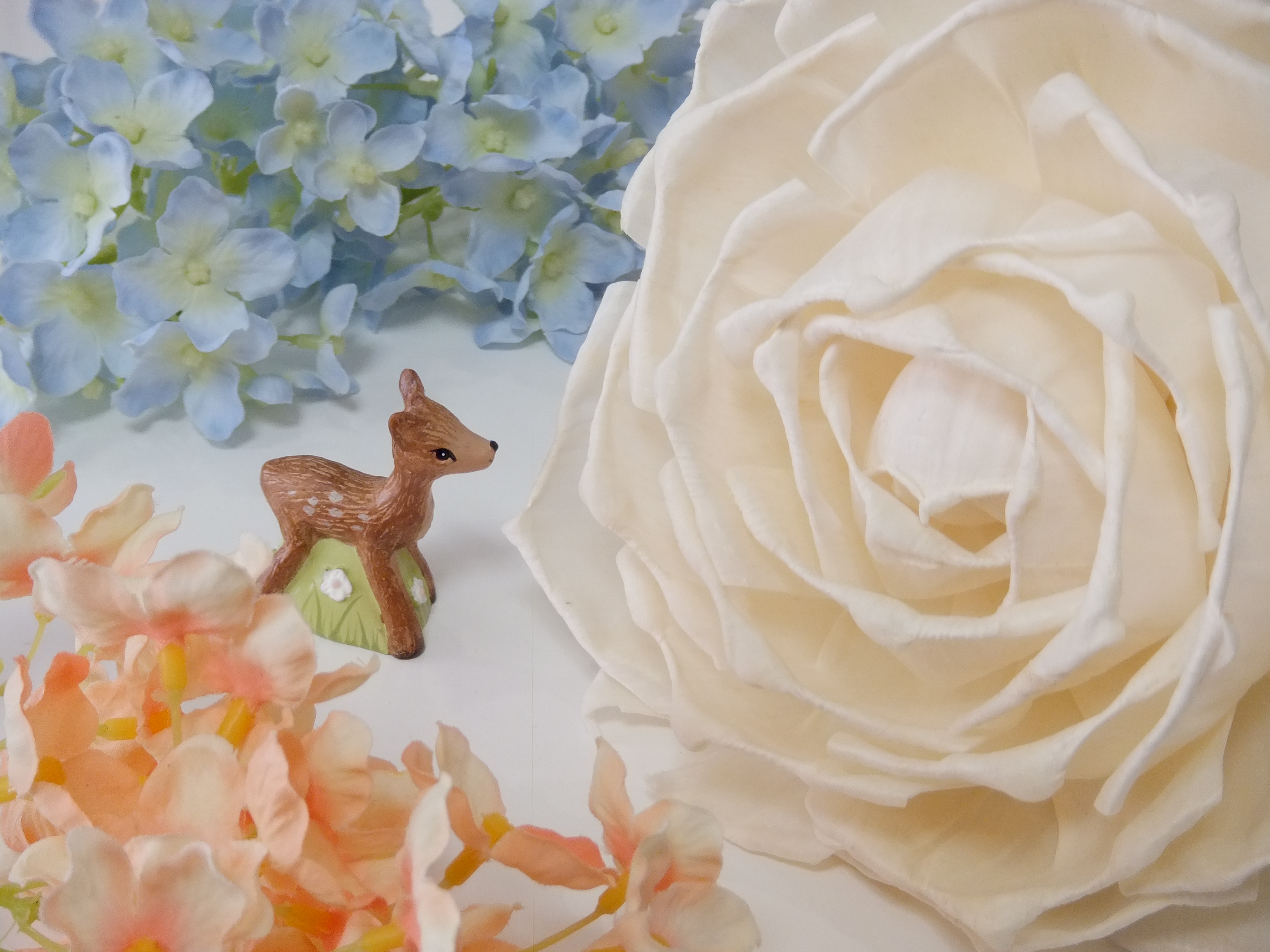 <b>Dレンジ800％/FinePix Z900EXR / 3,264×2,448 / 1/15秒 / F4.7 / +0.7EV / ISO200 / ダイナミックレンジ優先 / WB:オート / 11.8mm</b>