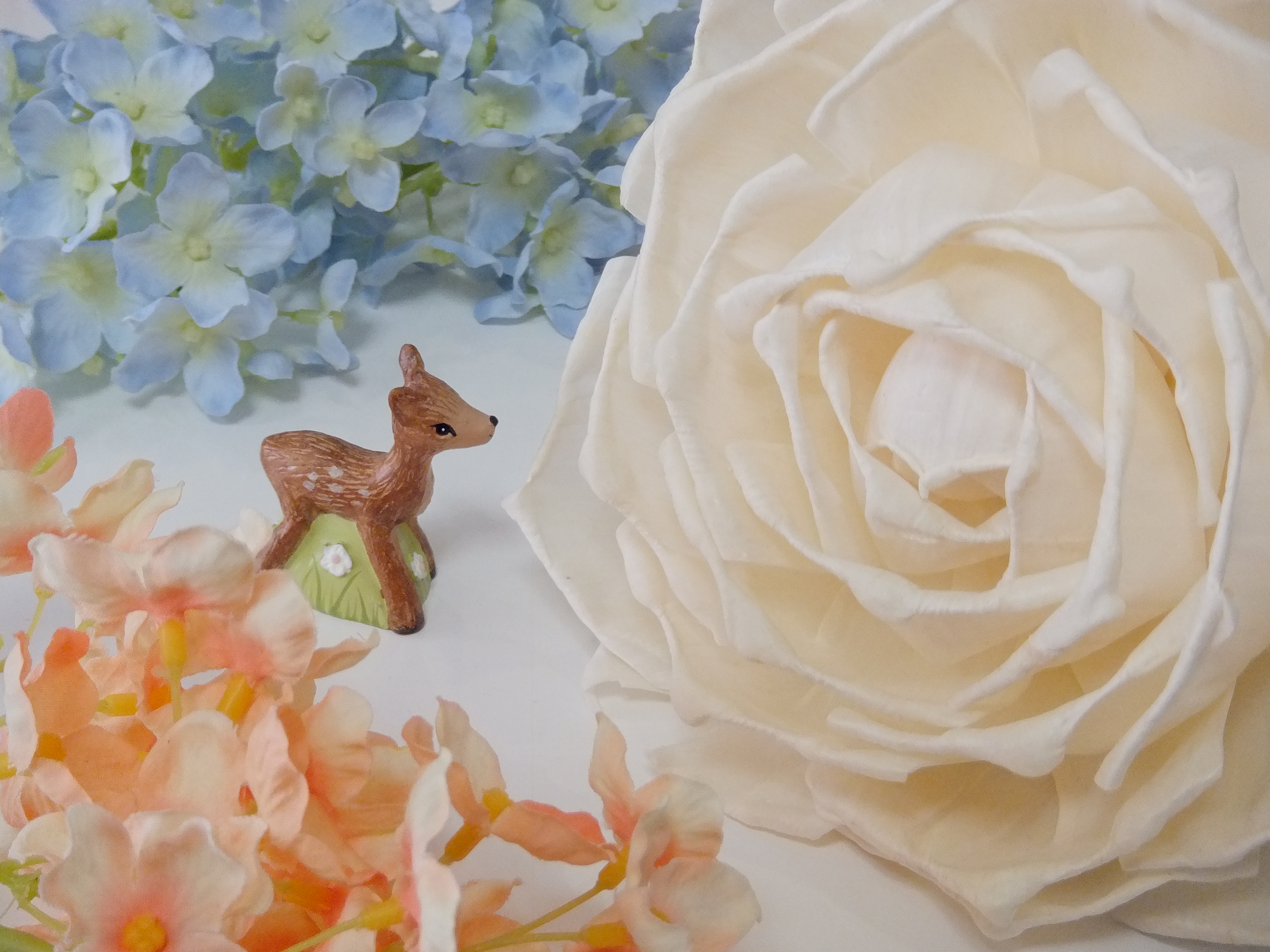 <b>Dレンジ1600％/FinePix Z900EXR / 3,264×2,448 / 1/30秒 / F4.7 / +0.7EV / ISO400 / ダイナミックレンジ優先 / WB:オート / 11.8mm</b>